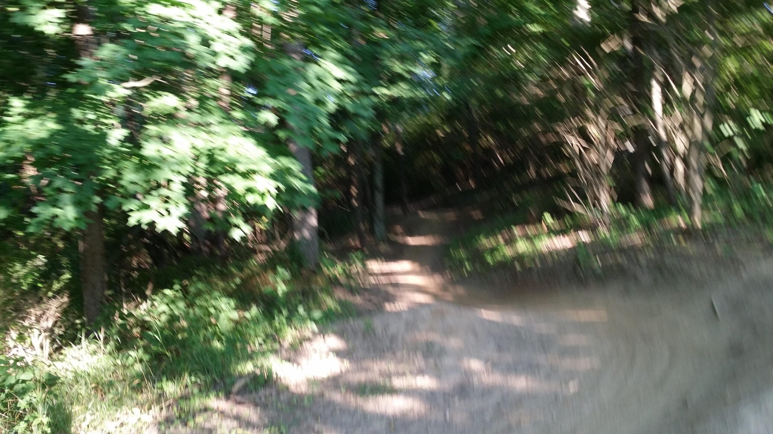 A blurred image of a wooded trail surrounded by lush green foliage, depicting a winding path through the trees with dappled sunlight filtering through the leaves. England Idlewild Mountain Biking Park mountain bike trail.