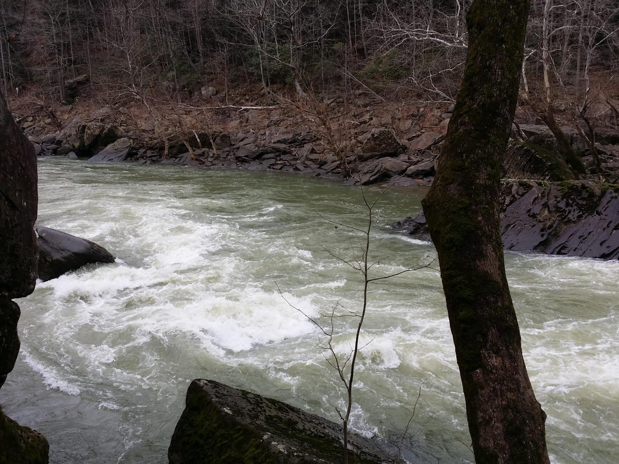 A flowing river surrounded by rocky banks and bare trees, with white water rapids creating waves in the greenish water. The scene captures a natural landscape in a tranquil setting. Cane Creek (sheltowee Trace Trail) mountain bike trail.