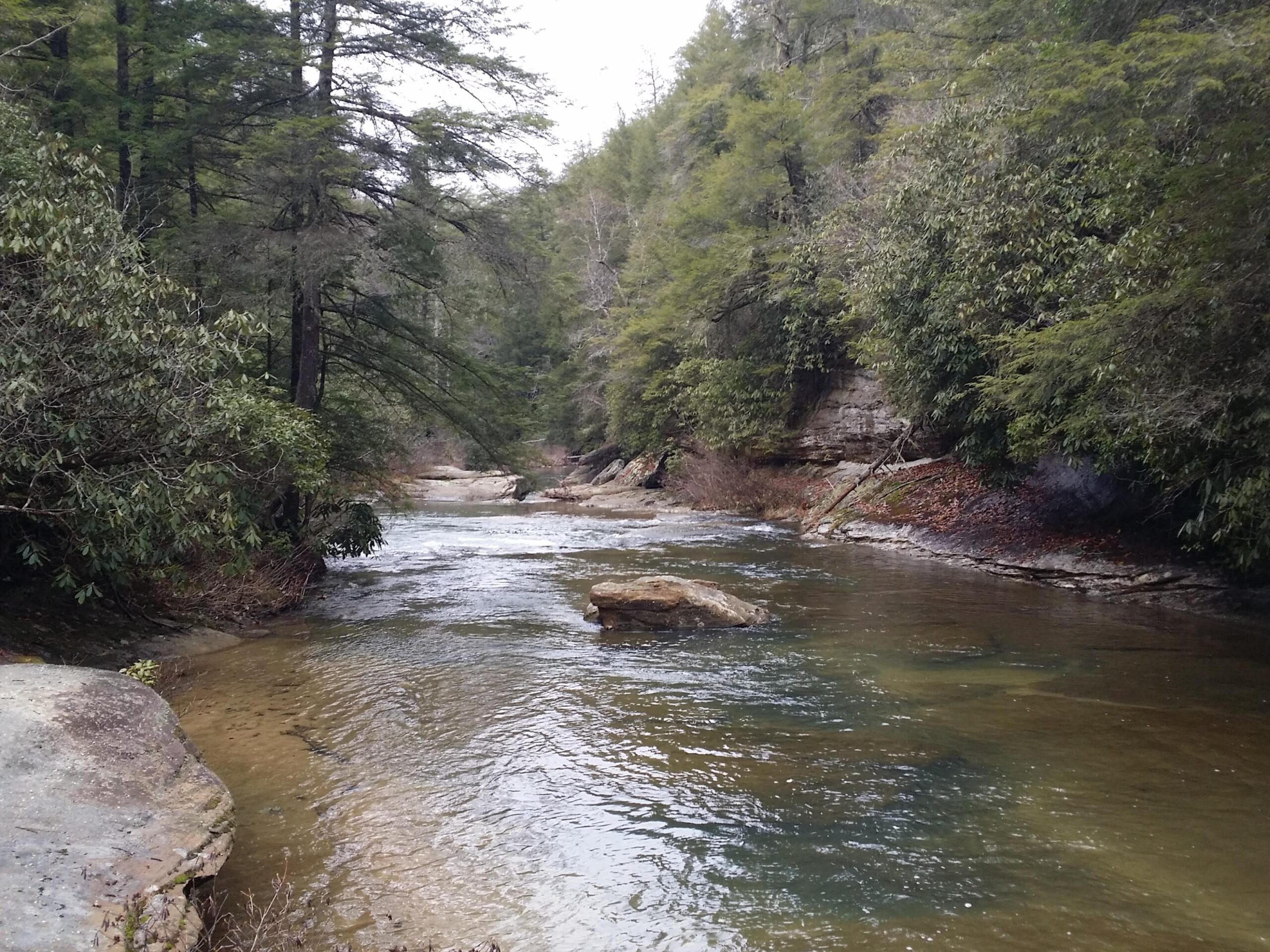 A tranquil river winding through a forested area, lined with lush greenery and trees. The water is clear and reflective, with rocky outcroppings and gentle ripples visible. The scene conveys a peaceful, natural setting. Cane Creek (sheltowee Trace Trail) mountain bike trail.