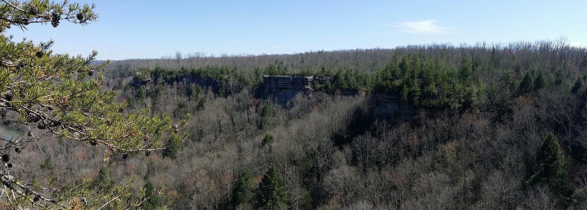 A panoramic view of a forested landscape with rocky cliffs in the distance, under a clear blue sky. Green pine trees and bare deciduous trees populate the scene, showcasing the natural beauty of the area. Big South Fork mountain bike trail.