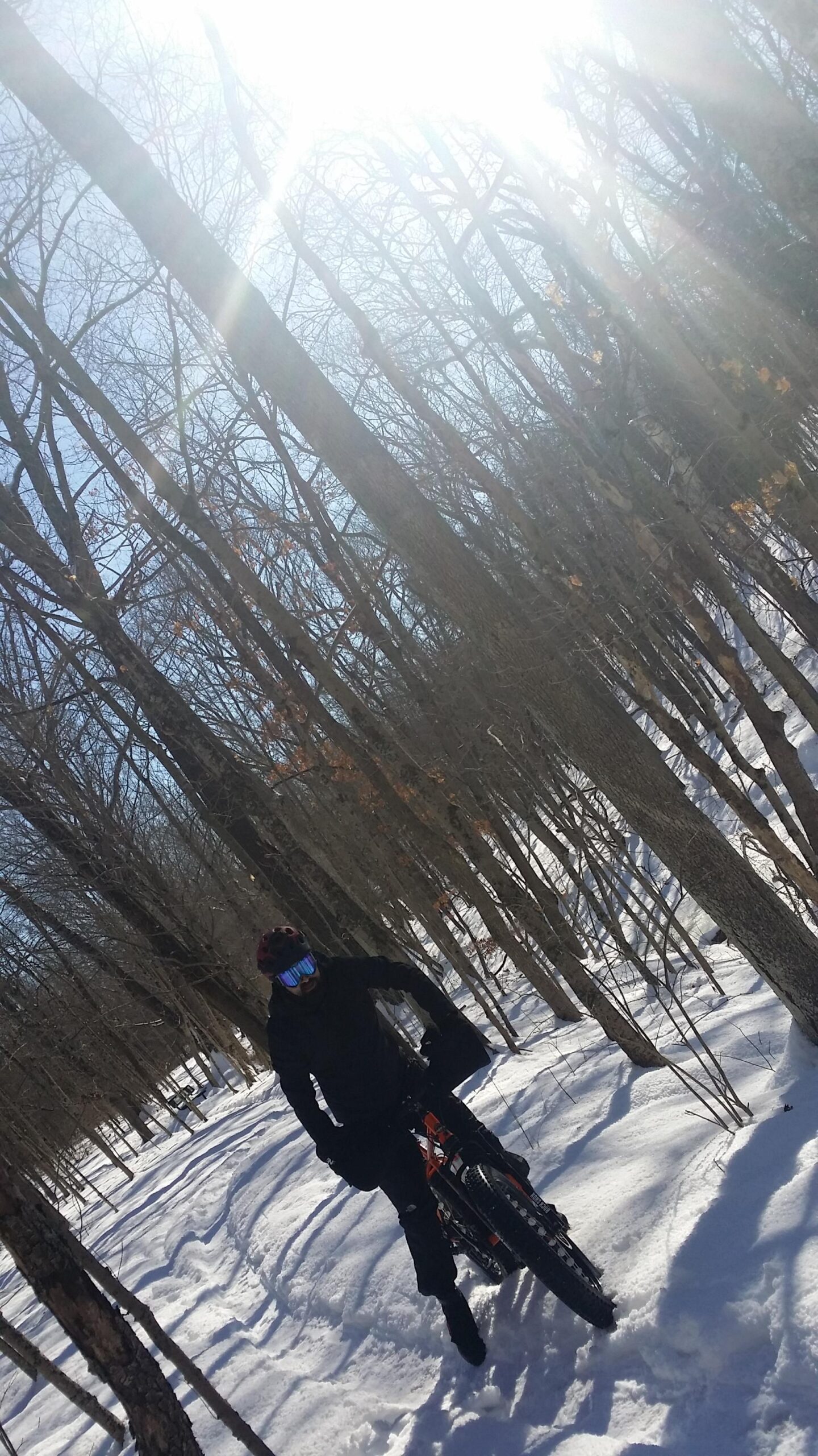 A person dressed in black clothing and a helmet is riding a mountain bike through a snowy forest. The scene is illuminated by bright sunlight filtering through the bare trees, casting long shadows on the snow. The rider is paused mid-ride, with snow-covered ground and tree trunks visible in the background. England Idlewild Mountain Biking Park mountain bike trail.