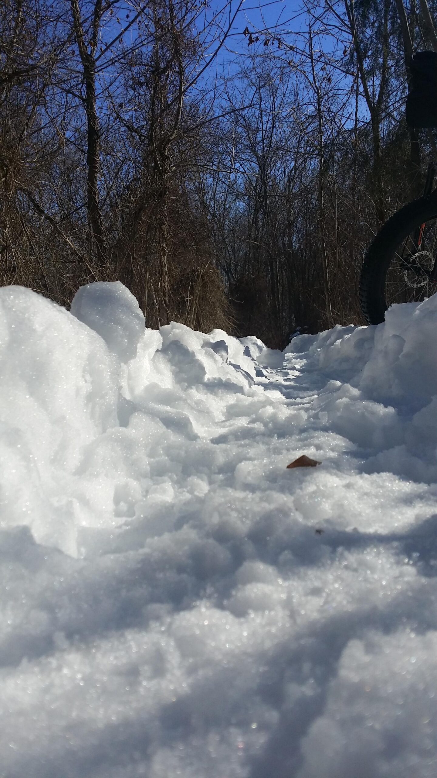 A snow-covered trail surrounded by bare trees under a blue sky, with a bicycle partially visible on the right side. The snow appears fluffy, with some uneven mounds along the path, and a single brown leaf lies on the snow. England Idlewild Mountain Biking Park mountain bike trail.