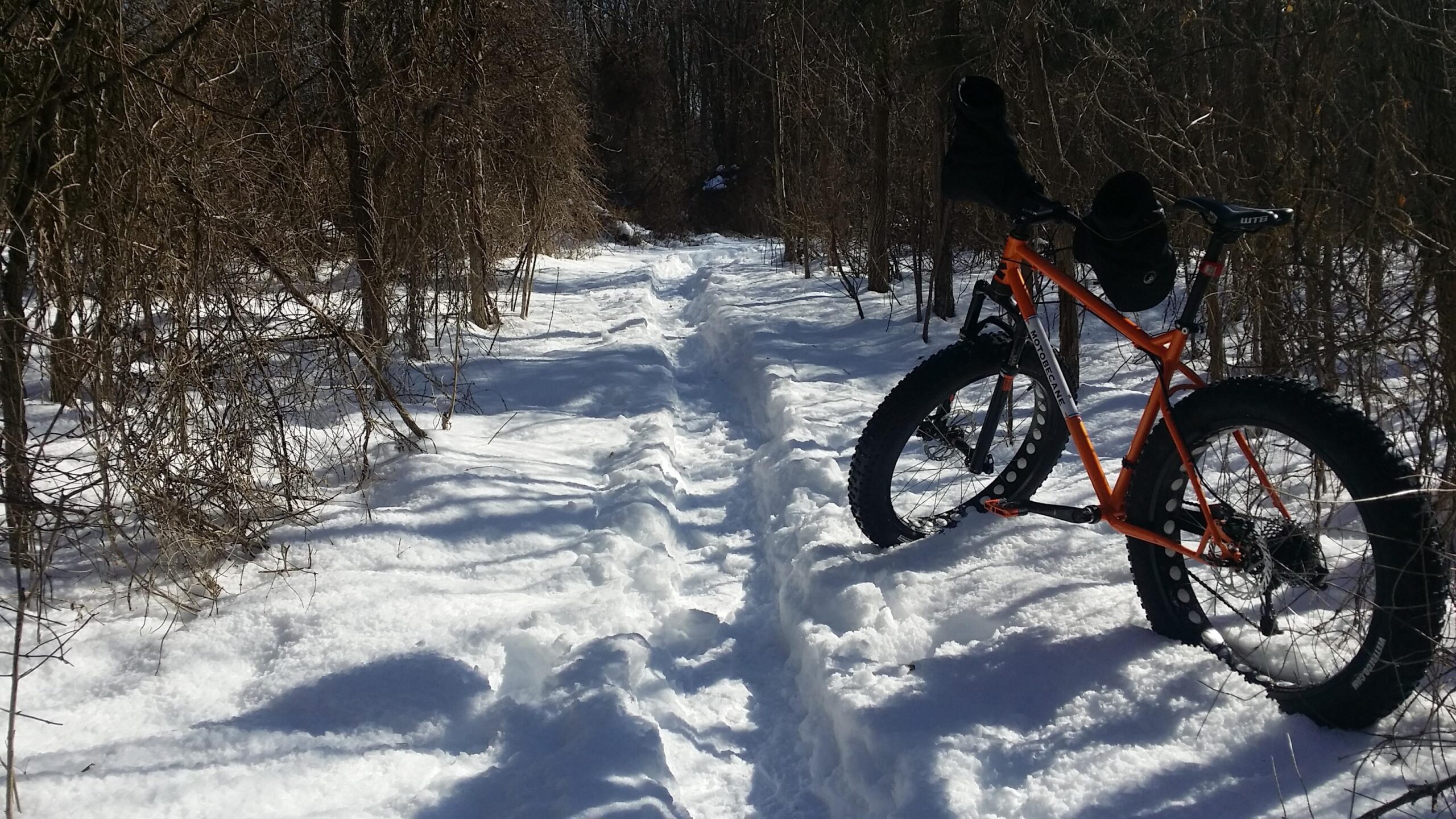 A fat tire bike parked on a snow-covered trail surrounded by trees. The path shows tire tracks leading into the woods, with snowdrifts on either side. Sunlight casts shadows on the snow, creating a serene winter scene. England Idlewild Mountain Biking Park mountain bike trail.