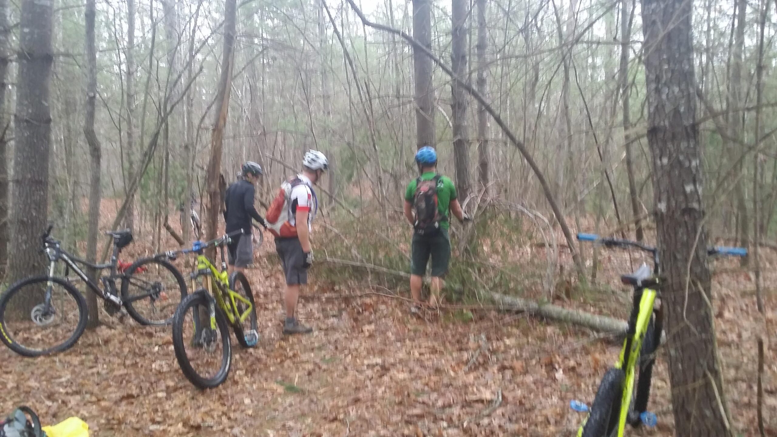 Three mountain bikers standing near their bikes in a wooded area. The ground is covered in leaves, and there are trees and underbrush surrounding them. The bikers are wearing helmets and cycling gear, discussing an obstacle in the trail. Two bikes are visible in the foreground, one black and one bright yellow. Big South Fork mountain bike trail.