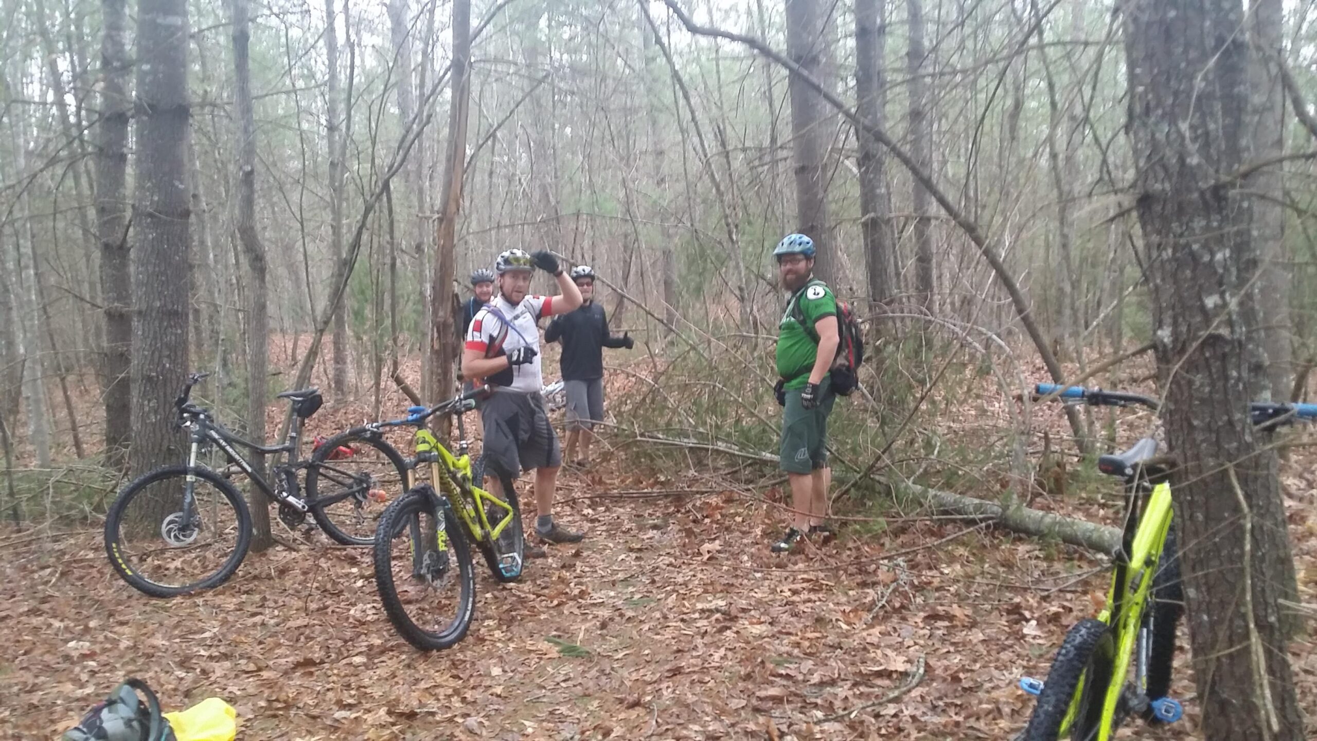 A group of four mountain bikers stands in a wooded area, surrounded by trees and fallen branches. Two bikes are parked nearby, and the bikers are dressed in cycling gear, wearing helmets. The landscape features a mix of pine and hardwood trees with a carpet of leaves covering the ground. Big South Fork mountain bike trail.