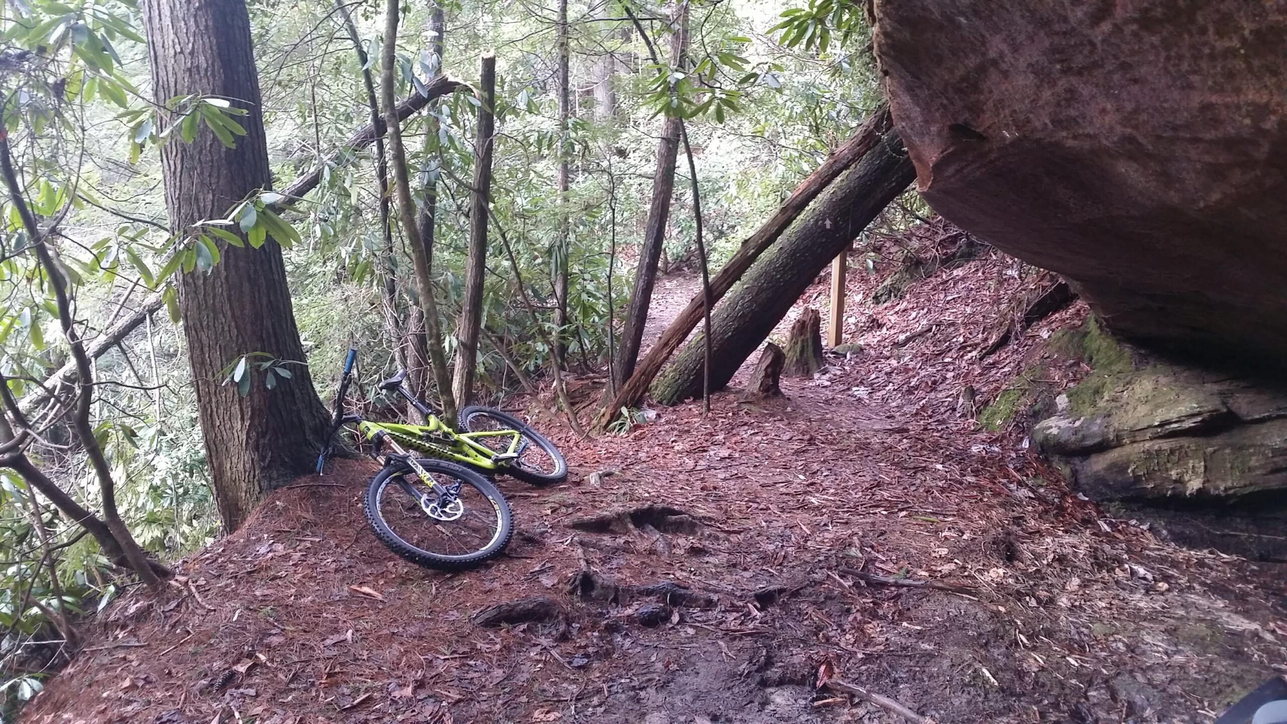 A bright green mountain bike rests on a dirt path surrounded by trees and foliage in a forested area. The trail is narrow and winds around large rocks and fallen logs, with patches of pine needles and mud on the ground. Big South Fork mountain bike trail.