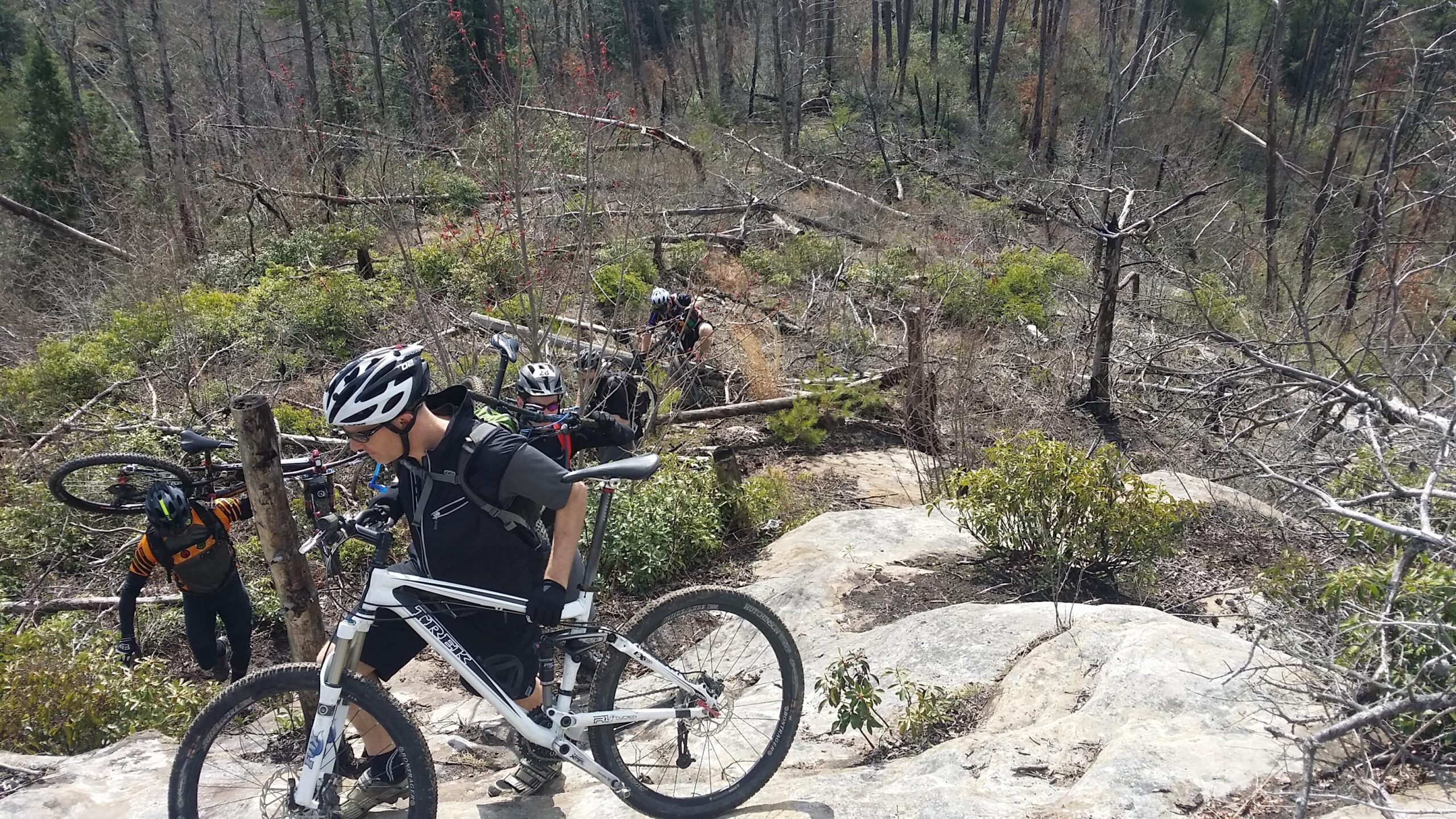A group of mountain bikers navigating a rocky terrain while carrying their bikes. The landscape features fallen trees and sparse vegetation, indicating recent disturbance in the forest. Big South Fork mountain bike trail.