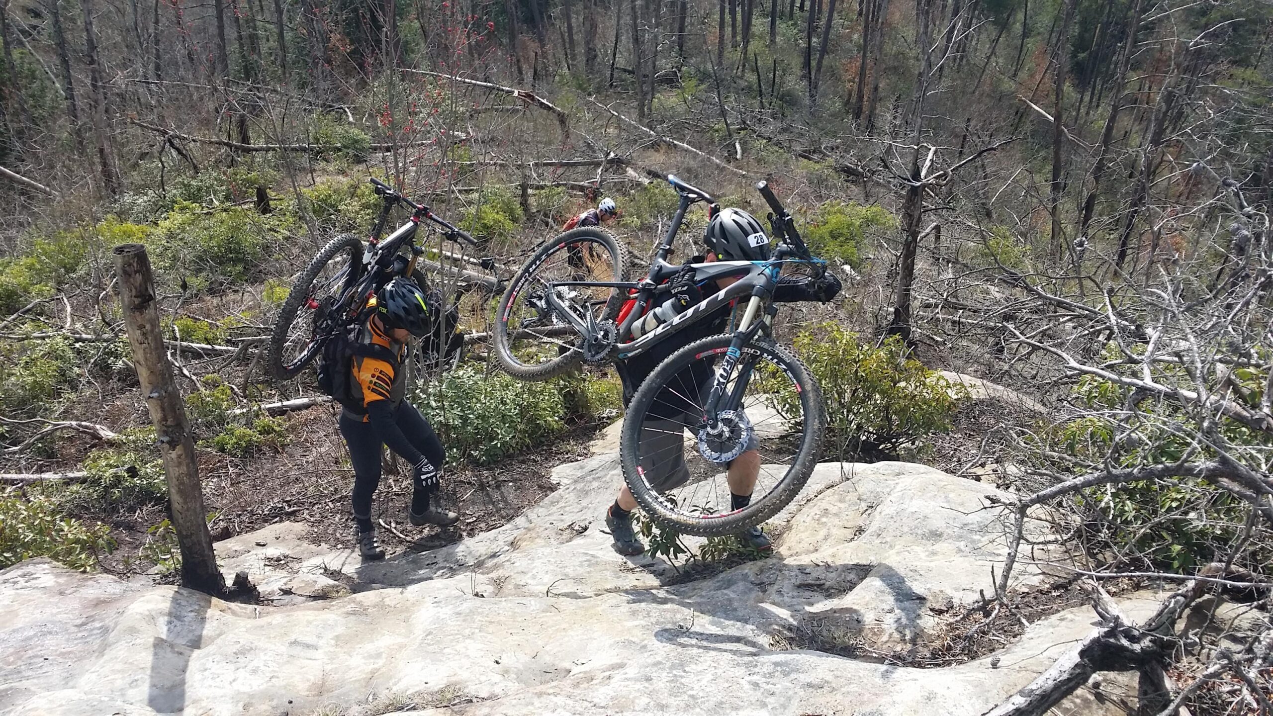 Two mountain bikers are navigating a rocky trail in a forested area. One rider is lifting their bike over their shoulder while climbing up a rocky section, and the other is slightly further back, also carrying a bike. Surrounding them are patches of greenery and remnants of fallen trees, indicating a rugged outdoor environment. Big South Fork mountain bike trail.