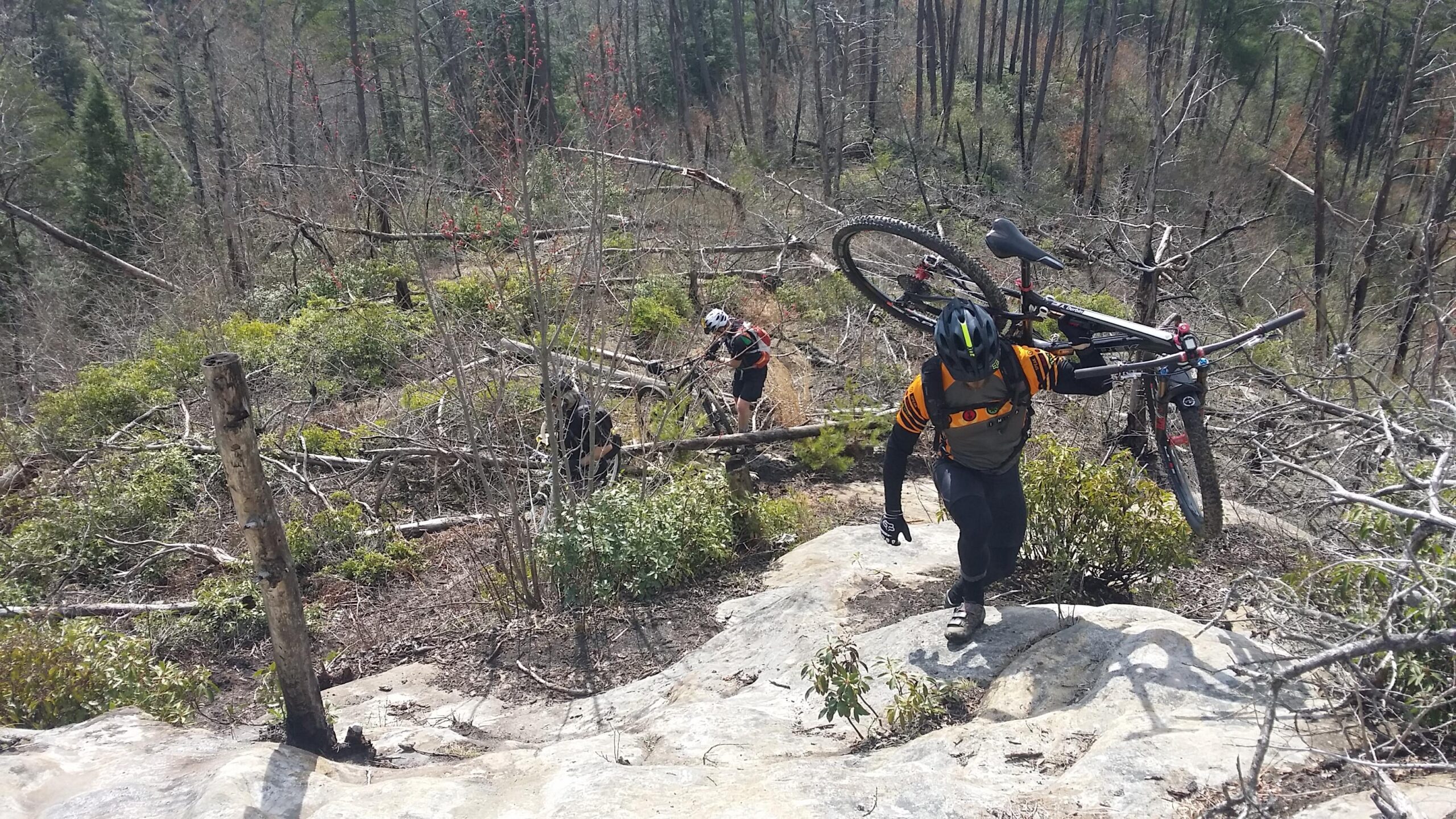 Two mountain bikers navigating a rocky, forested trail while carrying their bicycles. The landscape features scattered logs and underbrush, with tall trees in the background. One biker is climbing uphill, while another appears to be adjusting their bike near fallen branches. Big South Fork mountain bike trail.
