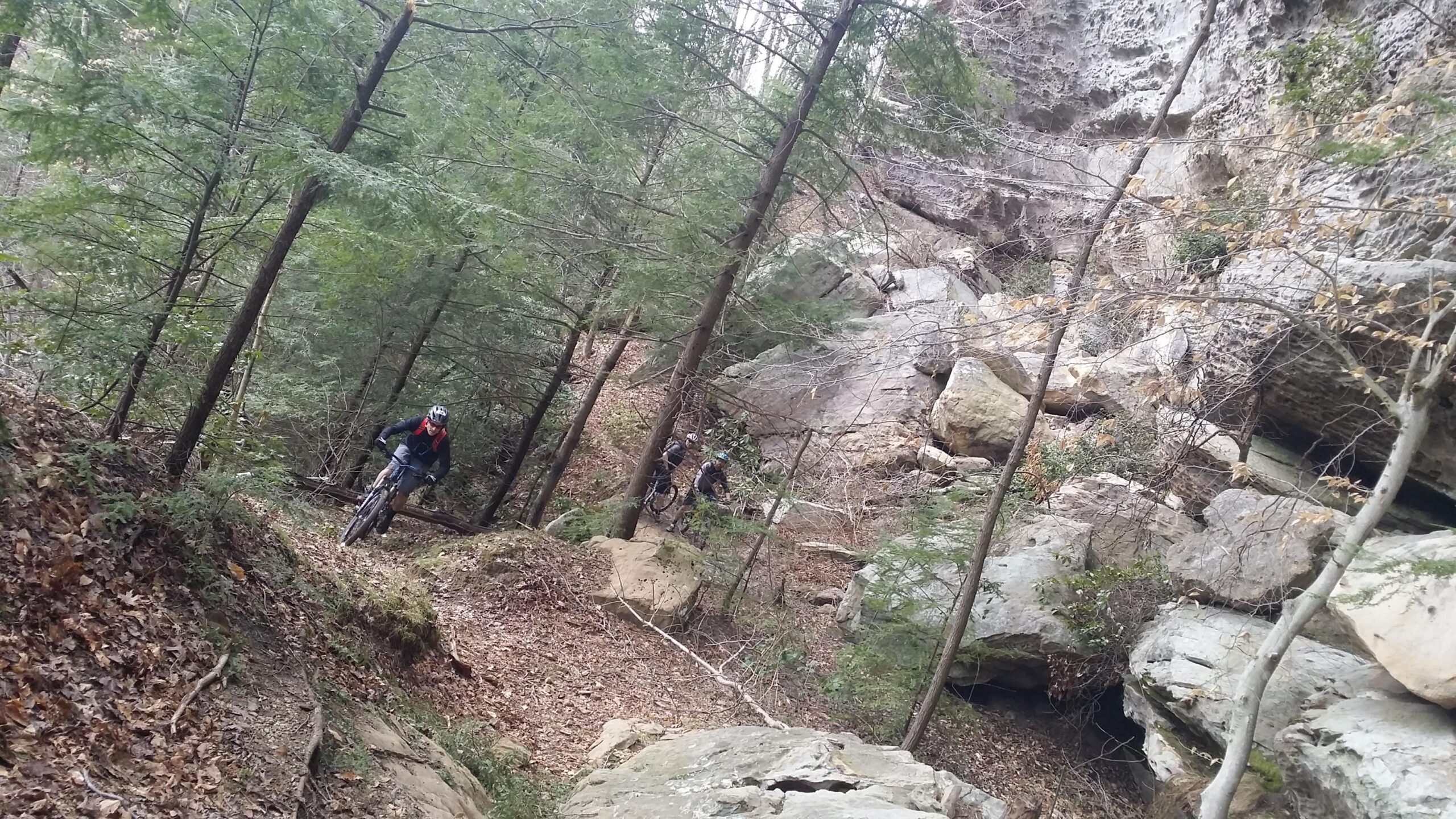 Mountain bikers navigating a wooded trail surrounded by trees and rocky terrain. The scene showcases a natural landscape with fallen leaves and boulders, emphasizing the outdoor adventure of biking in a rugged environment. Big South Fork mountain bike trail.