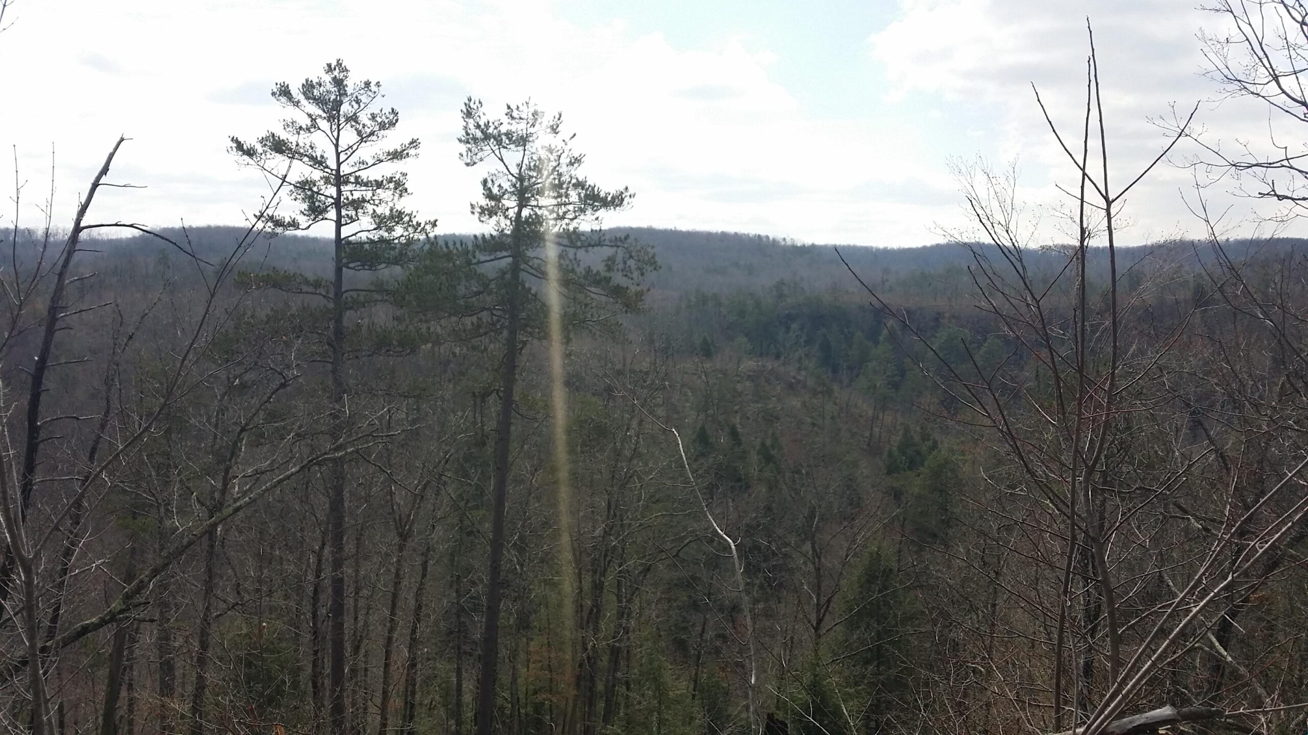 A scenic view of a forested landscape with distant mountains under a cloudy sky. Tall pine trees are in the foreground, and the terrain features a mix of green and bare trees, indicating a transition between seasons. Sunlight breaks through the clouds, illuminating parts of the scene. Big South Fork mountain bike trail.
