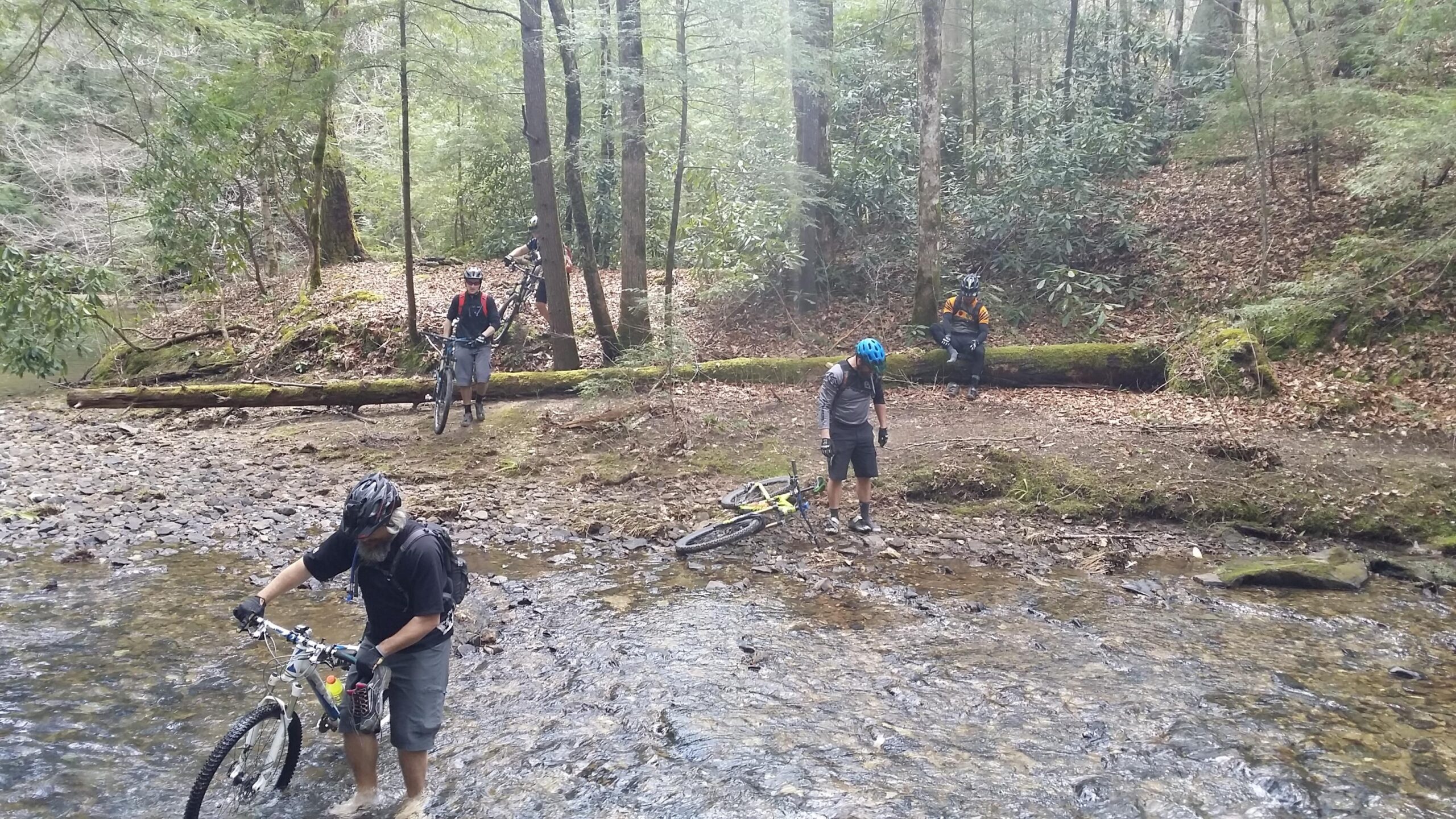A group of mountain bikers navigating a shallow stream in a wooded area. One biker is standing in the water, inspecting his bike, while another is walking nearby. Two additional bikers are positioned on a log and in the background, involved in the ride. The scene is lush with greenery and fallen leaves, capturing an adventurous outdoor moment. Big South Fork mountain bike trail.