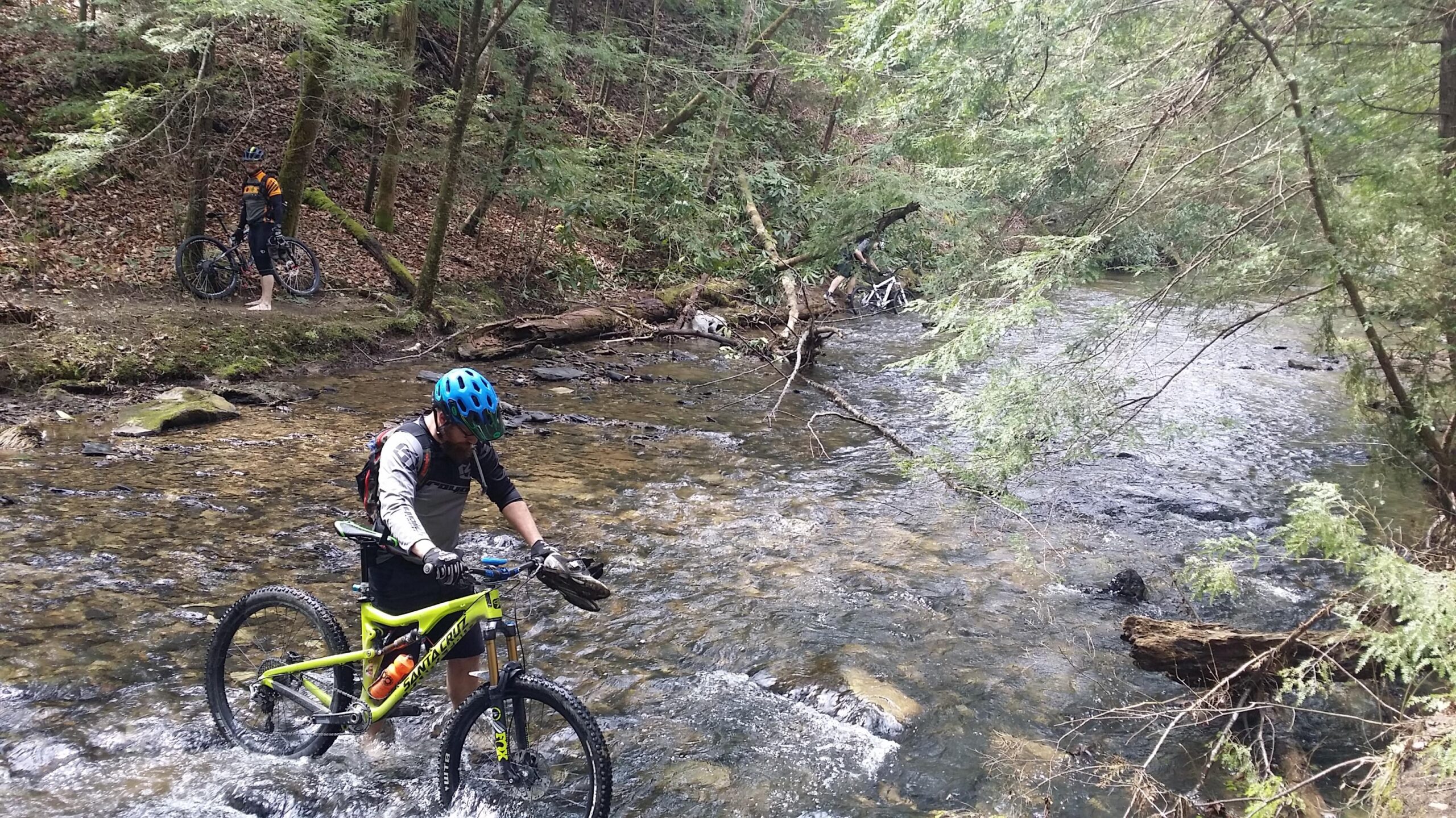 Two mountain bikers are navigating a stream in a wooded area. One rider is crossing the water on a bright yellow bike, while the other stands on the bank with his bike beside him. The scene is surrounded by lush greenery and a peaceful, natural setting. Big South Fork mountain bike trail.