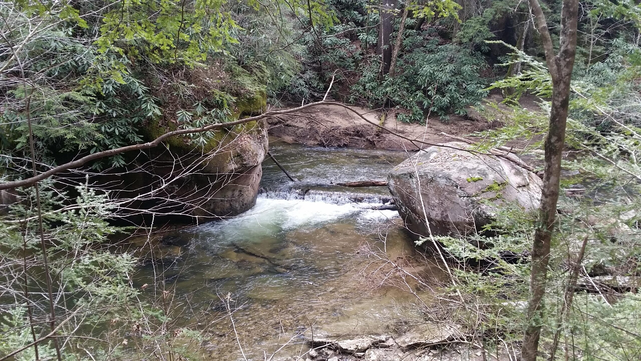 A tranquil stream flows between large boulders, surrounded by lush green foliage and trees. The water reflects the gentle movement of the current, with small rapids creating a peaceful atmosphere in a natural setting. Big South Fork mountain bike trail.