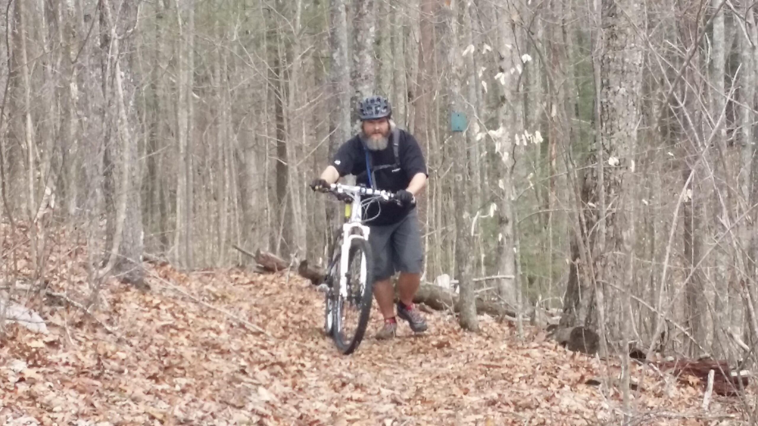 A person riding a mountain bike on a wooded trail covered in fallen leaves, with trees in the background. The rider is wearing a helmet and a dark shirt, showing signs of focus and effort as they navigate the path. Big South Fork mountain bike trail.