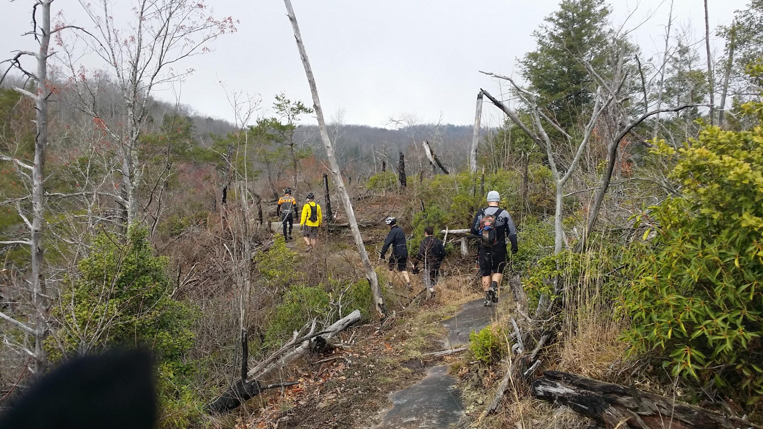 Hikers walking along a wooded trail surrounded by sparse trees and underbrush on a cloudy day. The scene captures a group of individuals in various outdoor attire navigating the uneven terrain. Big South Fork mountain bike trail.