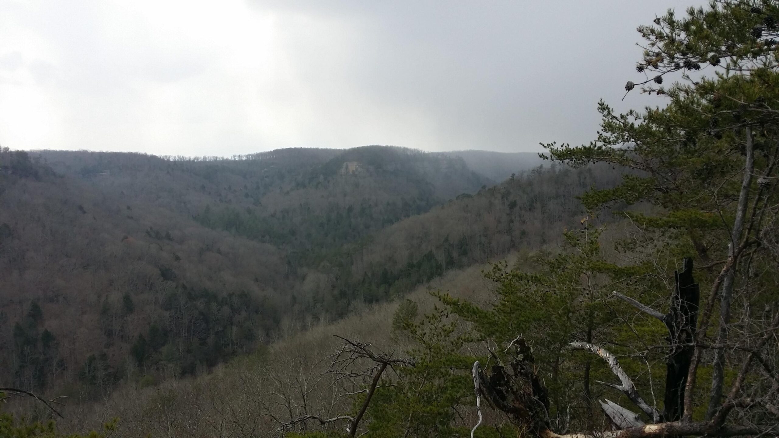 A panoramic view of a mountainous landscape under a cloudy sky, featuring a mix of bare trees and evergreens, with distant hills receding into the horizon. The scene conveys a sense of tranquility and natural beauty. Big South Fork mountain bike trail.
