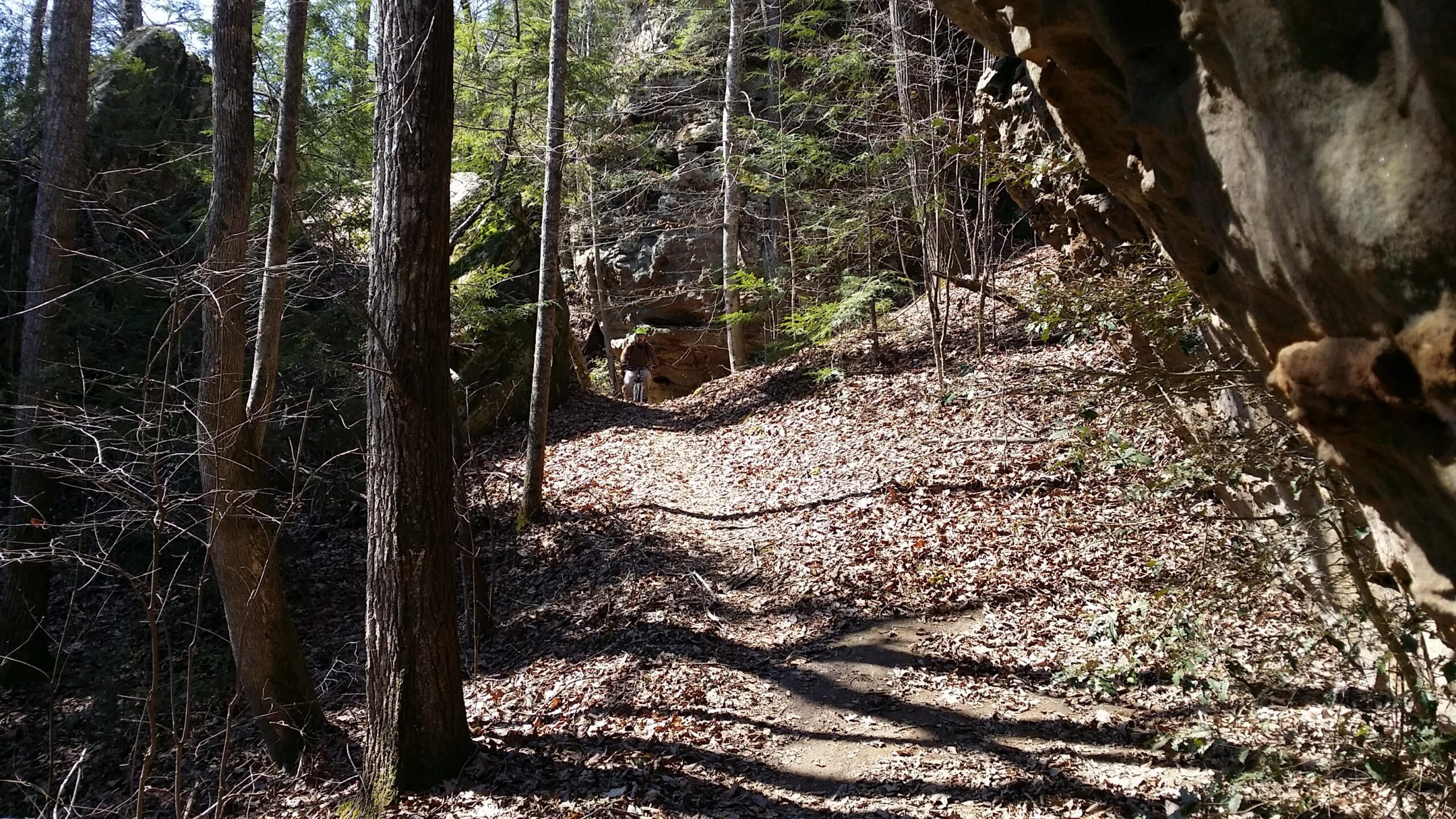 A narrow dirt trail winding through a forest with tall trees, scattered rocks, and a carpet of fallen leaves. Sunlight filters through the branches, creating dappled shadows on the ground. A person is seen walking along the path, surrounded by greenery and rocky outcrops in the background. Big South Fork mountain bike trail.