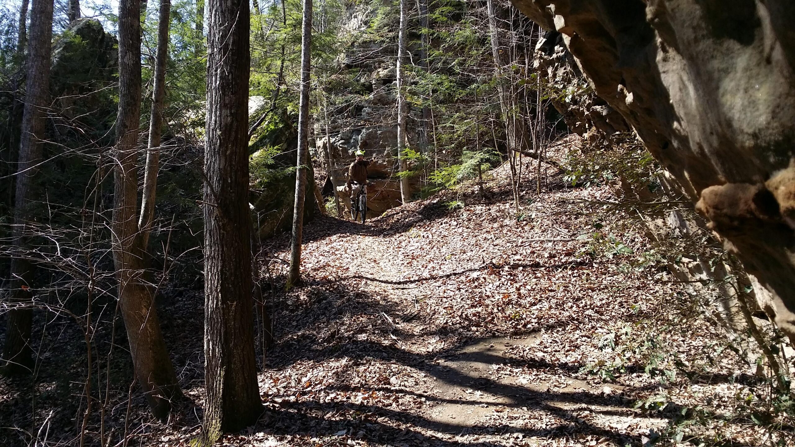 A wooded hiking trail covered in fallen leaves, with tall trees lining the path. In the distance, a person stands with a bicycle, surrounded by rocky terrain and green foliage. Sunlight filters through the branches, casting shadows on the ground. Big South Fork mountain bike trail.