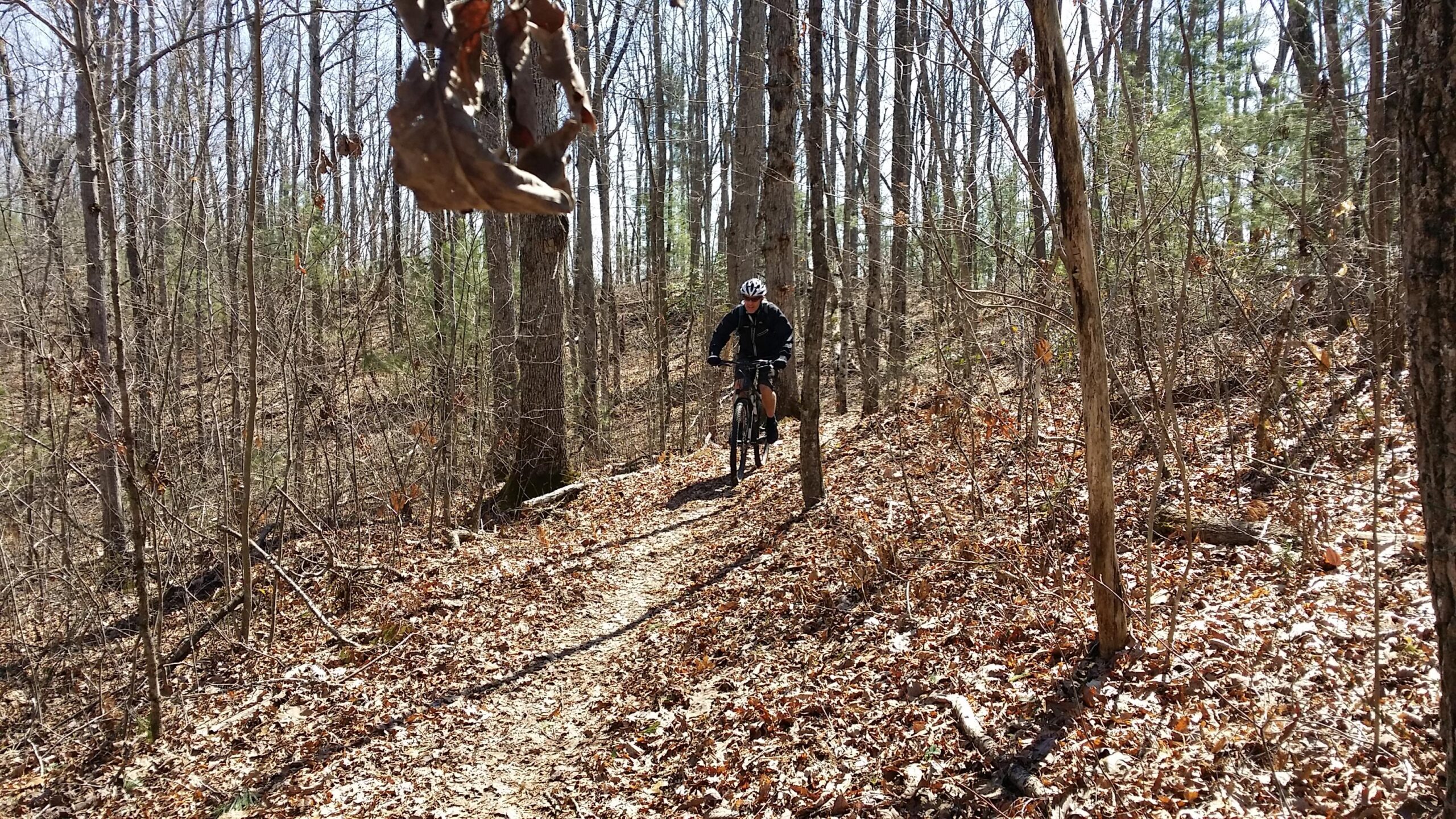 A person riding a mountain bike on a dirt trail surrounded by trees in a forest during a sunny day. The ground is covered with fallen leaves, and the scene conveys an atmosphere of outdoor adventure and nature. Big South Fork mountain bike trail.