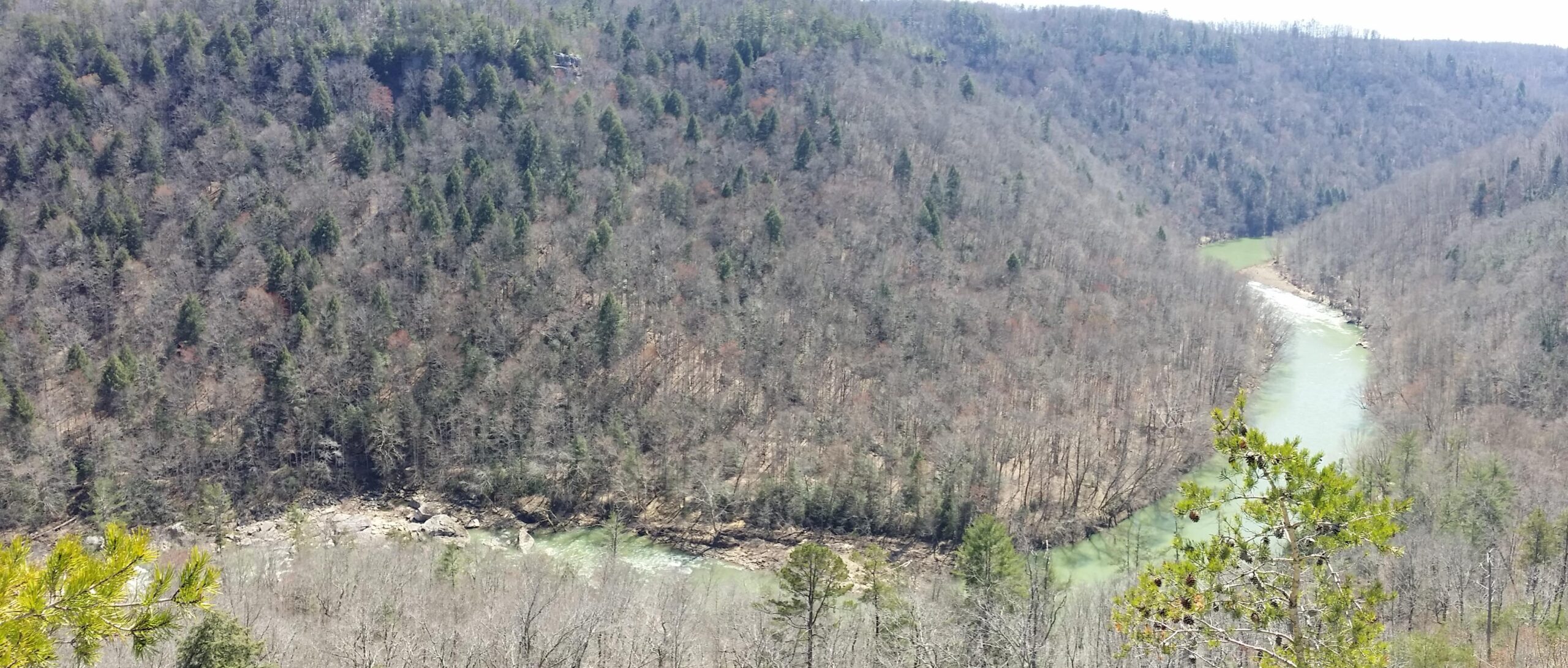 Aerial view of a winding river surrounded by a forested landscape in early spring, featuring a mixture of bare trees and evergreen conifers, with rocky banks visible along the water's edge. Big South Fork mountain bike trail.