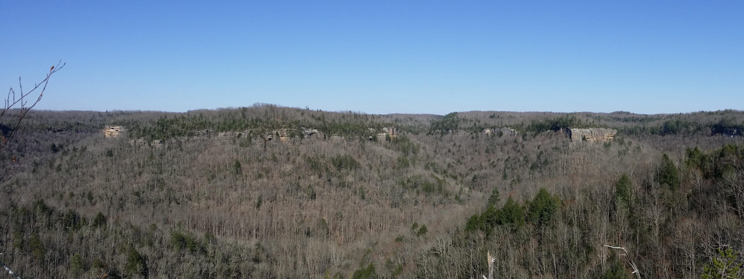 A panoramic view of a dense forested landscape featuring rolling hills, rocky cliffs, and a clear blue sky. The trees are mostly bare, indicating early spring or late autumn, with some coniferous trees in the mix. The horizon is lined with prominent rock formations, adding visual interest to the serene natural scenery. Big South Fork mountain bike trail.