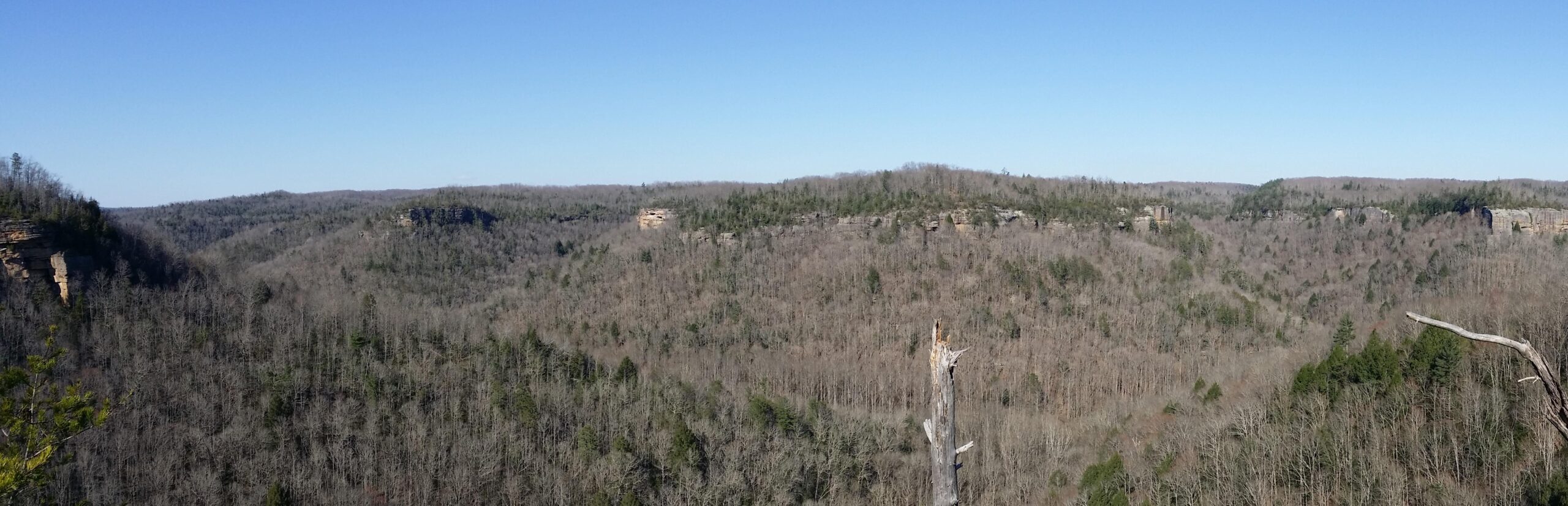 A panoramic view of a forested landscape featuring rolling hills and rocky cliffs under a clear blue sky. The trees are mostly bare, indicating it may be early spring or late fall, with some greenery visible in the landscape. A prominent dead tree stump is in the foreground, adding to the natural scenery. Big South Fork mountain bike trail.