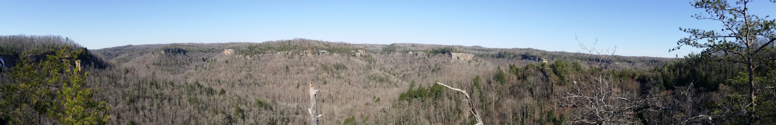 A panoramic view of a forested landscape featuring rolling hills and bare trees under a clear blue sky. The scene captures the natural beauty of the area, showcasing various shades of green from the evergreens among the mostly barren trees, indicating early spring or late fall. Big South Fork mountain bike trail.