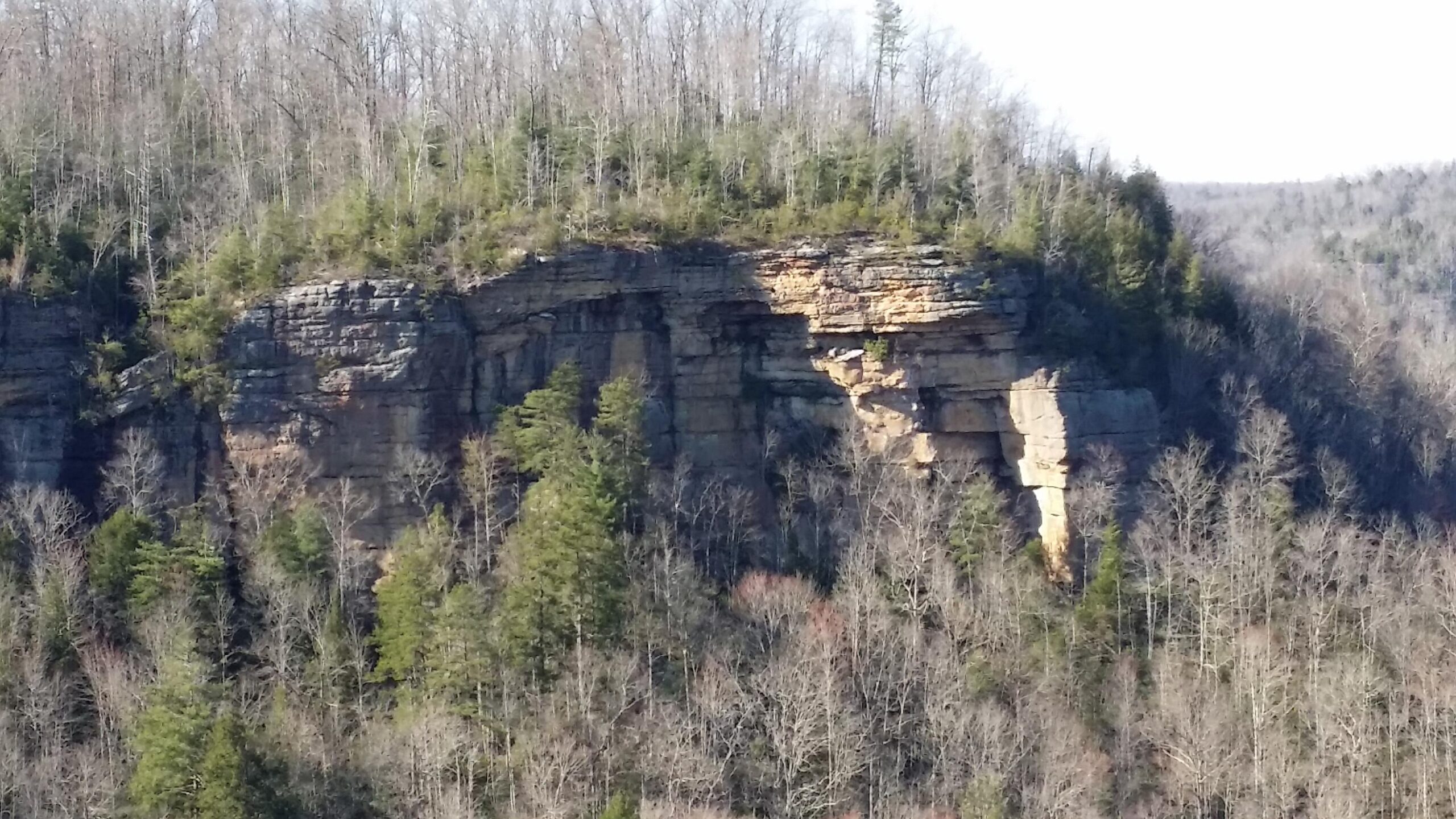 A rocky cliffside with a tree-covered plateau, showcasing layers of exposed stone and scattered evergreen trees, under a clear blue sky. The lower area features a mixture of bare trees and lush greenery. Big South Fork mountain bike trail.