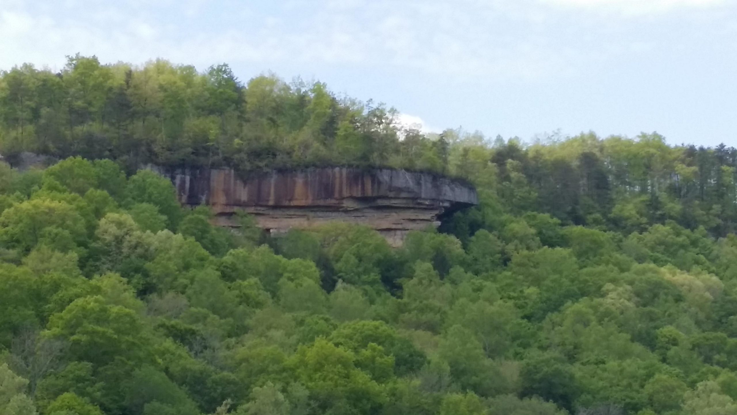 A rocky cliff with a flat, overhanging ledge topped by a lush canopy of green trees, surrounded by dense forest foliage under a partly cloudy sky. Sheltowee Trace - Laurel Lake Trail mountain bike trail.