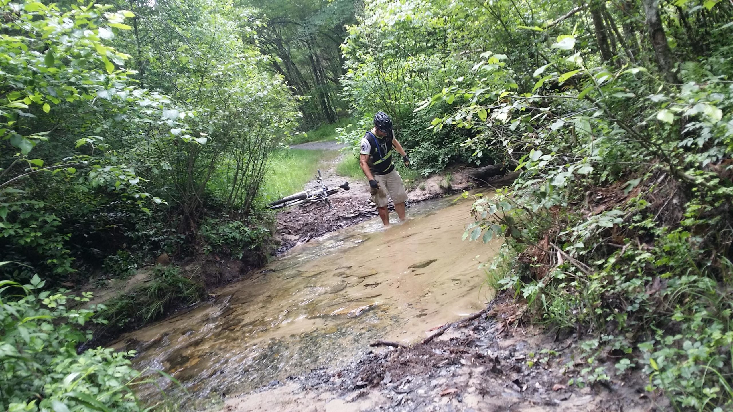 A person standing in a shallow stream surrounded by lush greenery, with a bicycle lying nearby on the ground. The individual is wearing a helmet and a vest, appearing to assess the water while navigating through a wooded area. DuPont State Recreational Forest mountain bike trail.