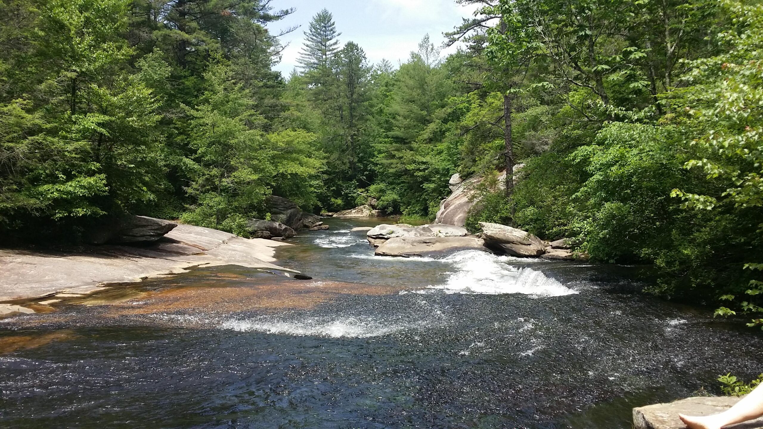 A serene river flows through a lush green landscape, flanked by rocky formations and trees. Sunlight filters through the leaves, creating a peaceful atmosphere. Gentle waves ripple over the water's surface. DuPont State Recreational Forest mountain bike trail.