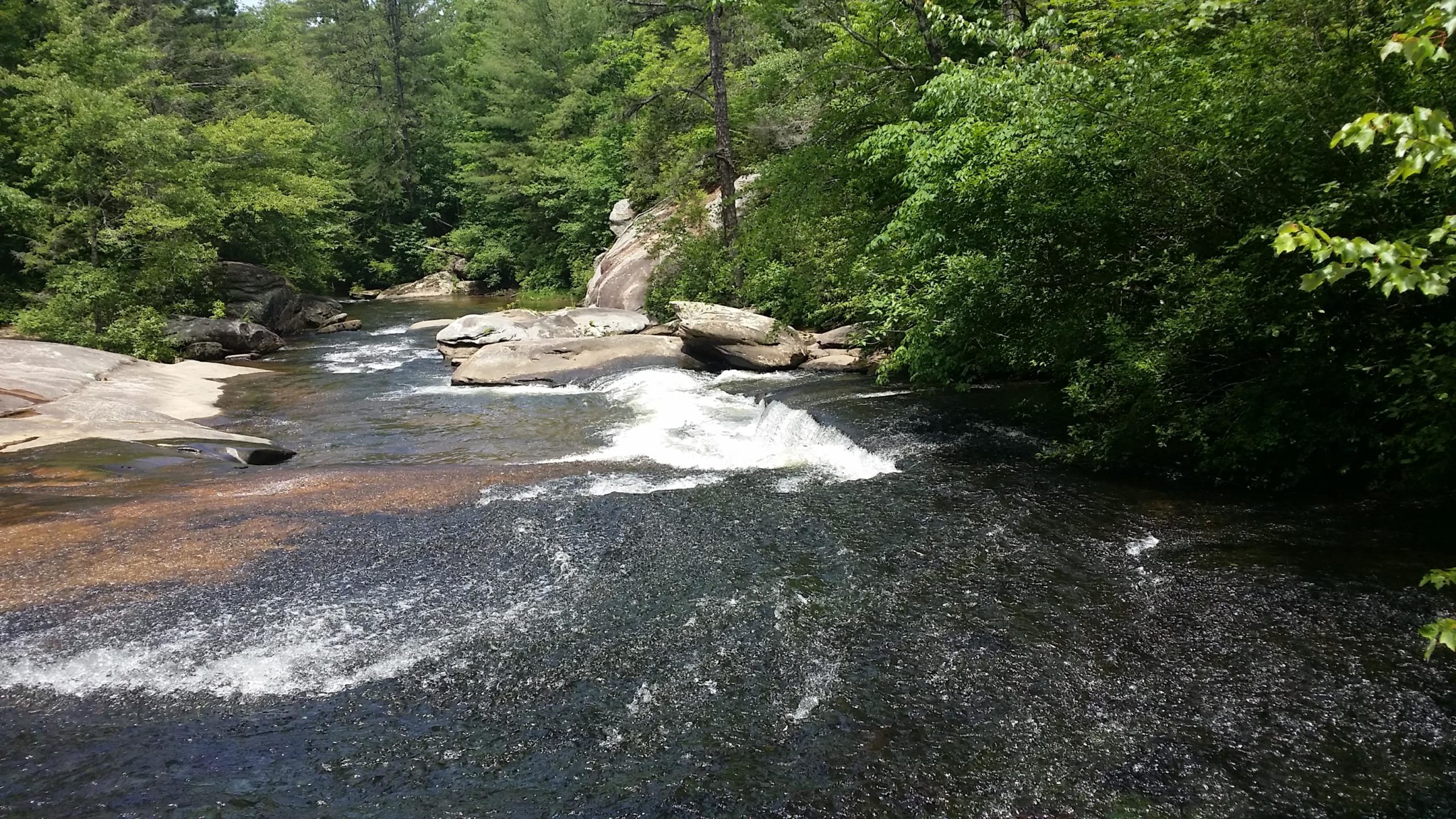 A serene river flowing through a lush green landscape, featuring smooth, rounded rocks and gentle ripples in the water. Sunlight filters through the trees, highlighting the vibrant greenery on the riverbanks. A small waterfall cascades over a rock, creating white water contrasts against the darker shades of the river. DuPont State Forest mountain bike trail.