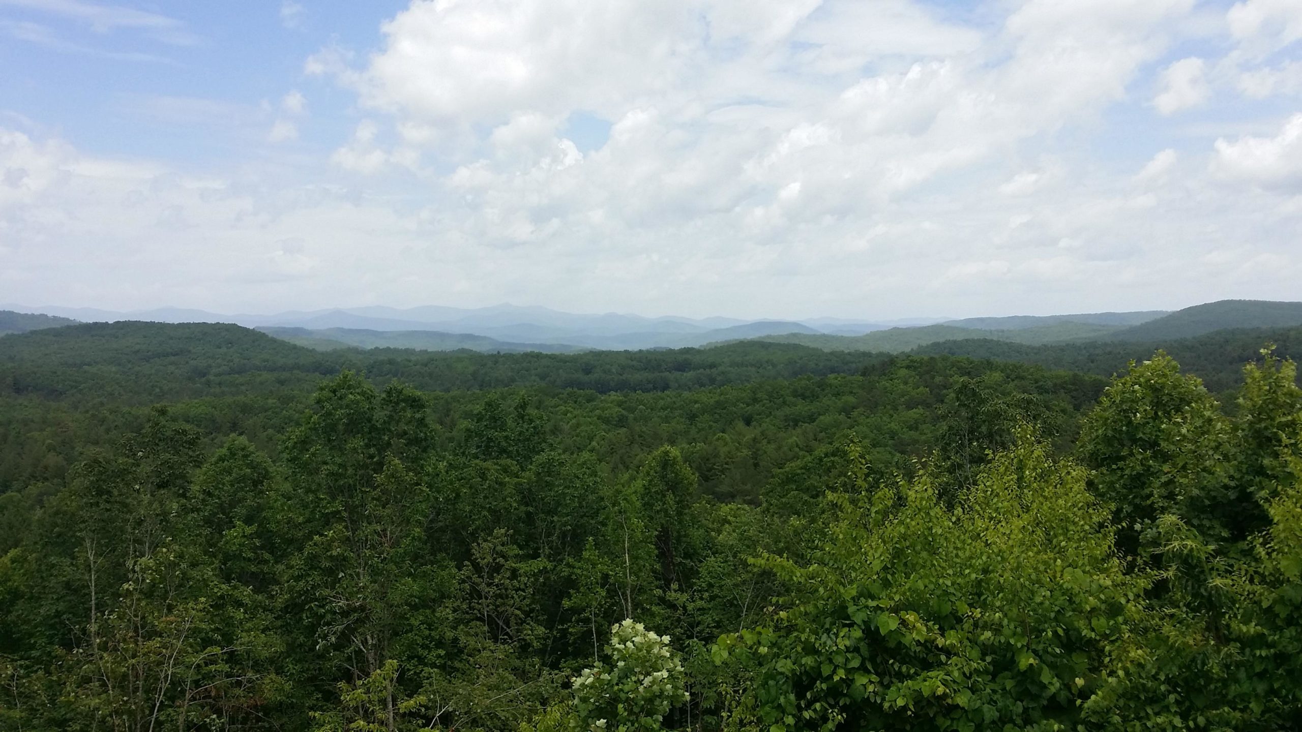 A panoramic view of a lush, green forest landscape under a partly cloudy sky, with rolling hills and distant mountains visible in the background. DuPont State Forest mountain bike trail.