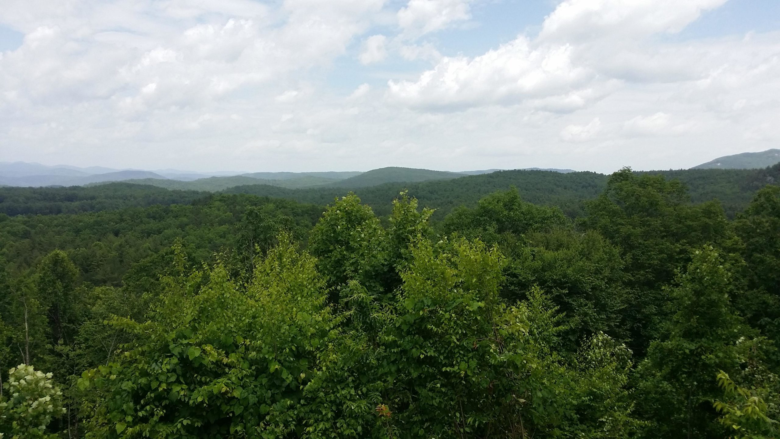A panoramic view of lush green forests and rolling hills under a partly cloudy sky, capturing the beauty of nature and tranquility in a mountainous landscape. DuPont State Forest mountain bike trail.