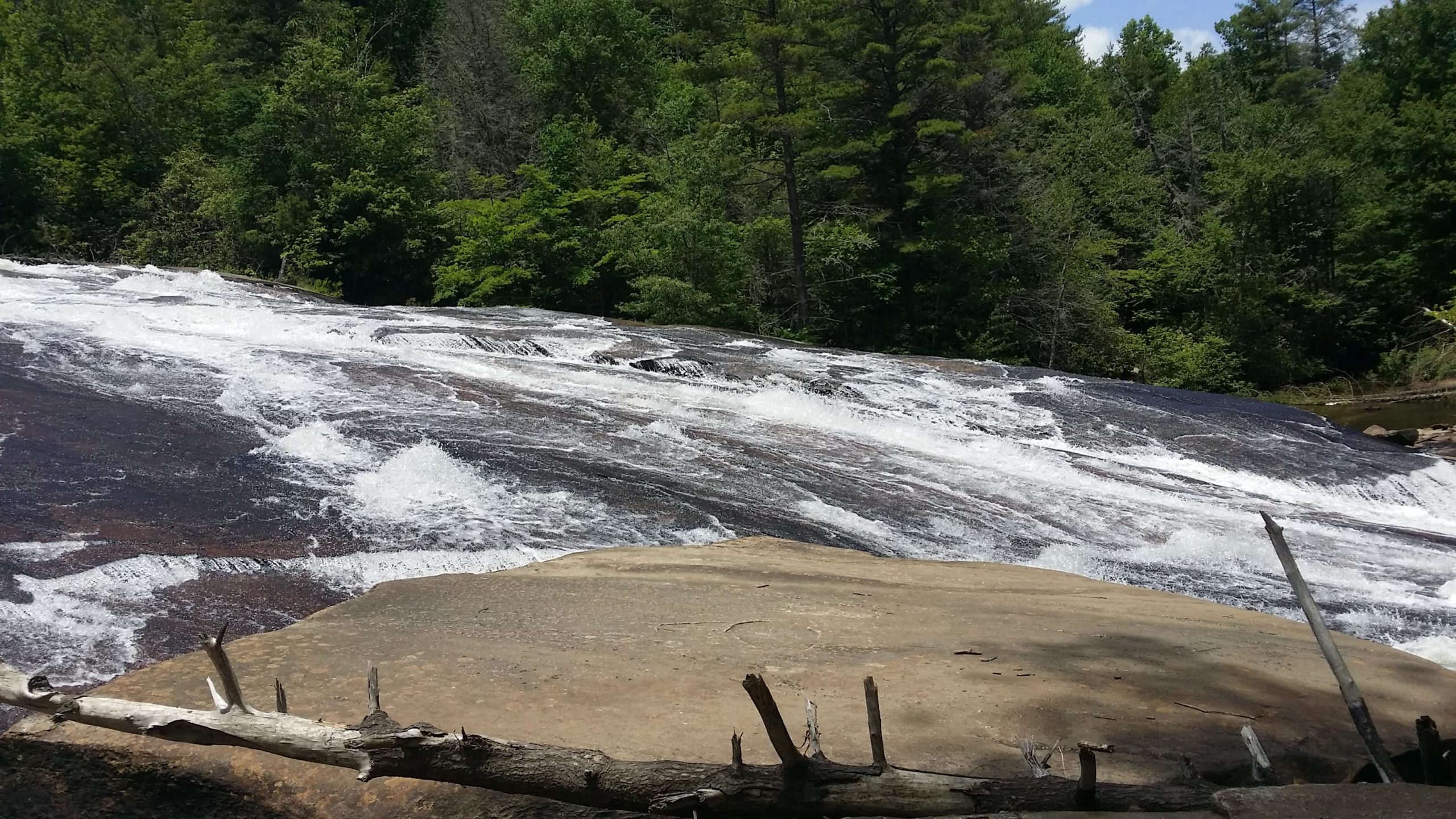 Water cascading over smooth, rocky terrain, surrounded by lush green trees under a clear blue sky. A fallen branch is visible in the foreground, adding to the natural scenery. DuPont State Recreational Forest mountain bike trail.