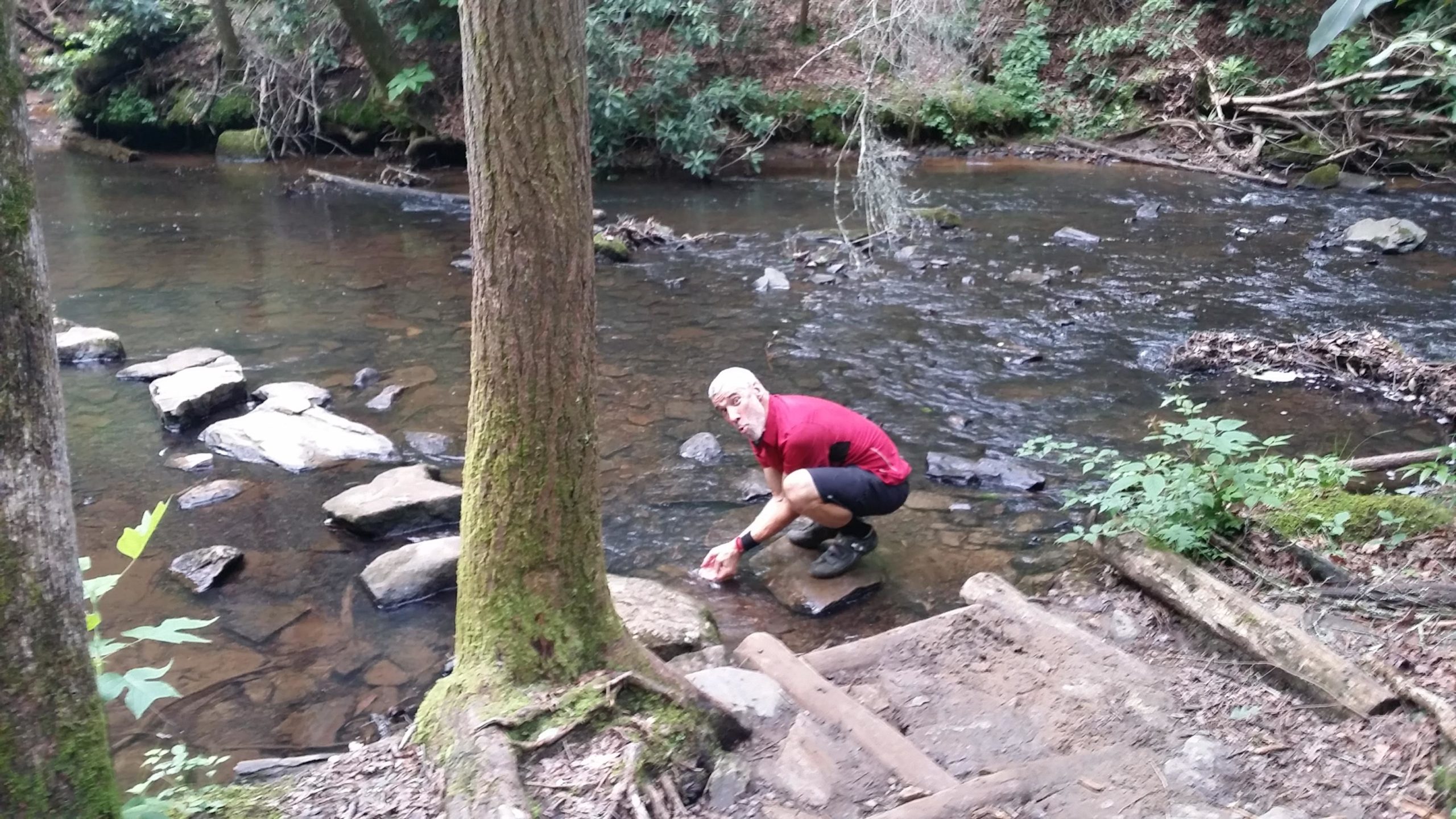 A person crouching near a shallow stream, surrounded by trees and rocks. They are reaching into the water, with some stepping stones visible. The area is lush with greenery, conveying a peaceful, natural setting. DuPont State Forest mountain bike trail.