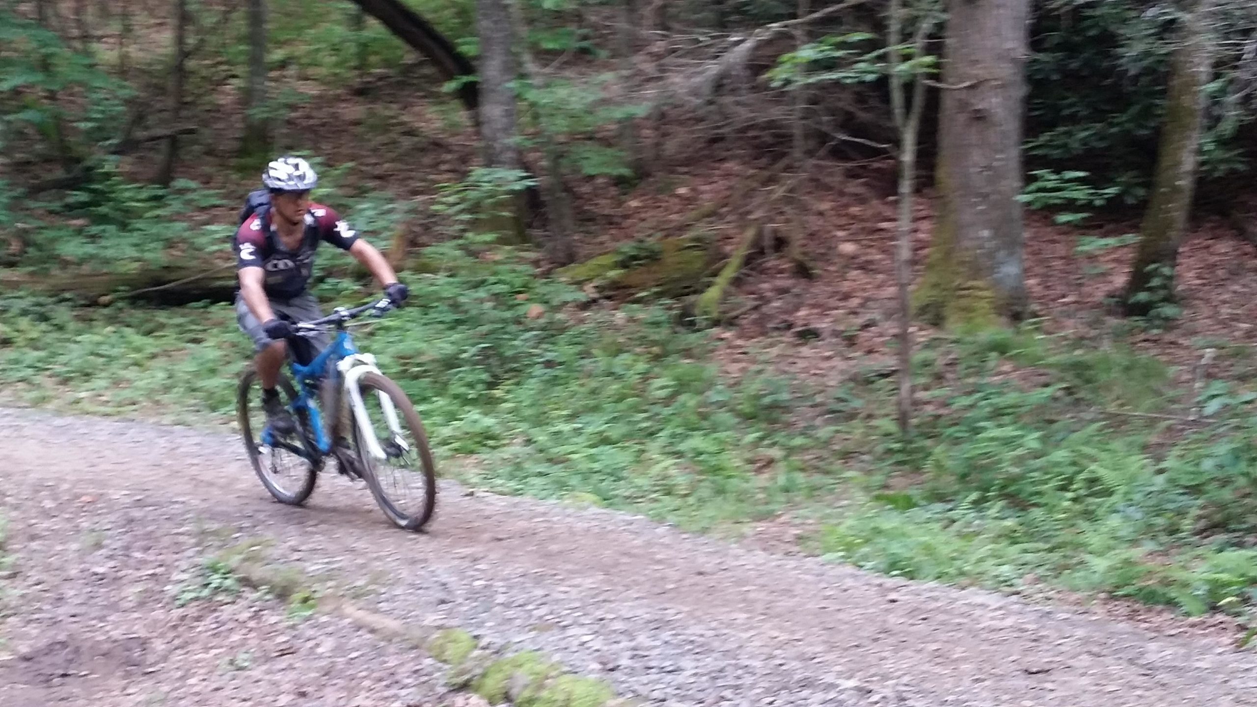 A mountain biker riding down a gravel trail in a forested area, surrounded by lush greenery and trees. The rider is wearing a helmet and cycling gear, and the motion suggests speed and excitement. DuPont State Forest mountain bike trail.