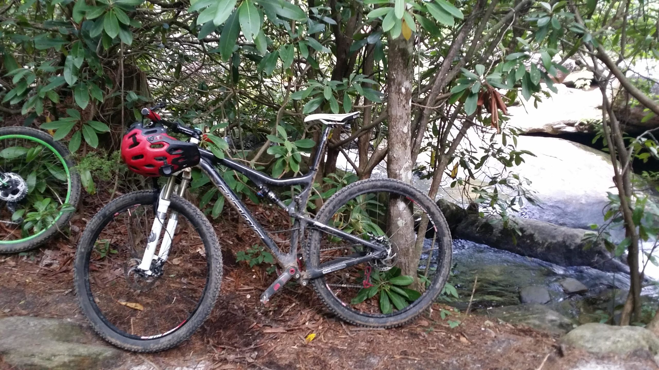 A mountain bike with a red helmet resting on its handlebars is positioned next to a tree in a forested area, with lush green foliage and a small stream visible in the background. The bike shows signs of dirt and use, indicating recent outdoor activity. DuPont State Forest mountain bike trail.