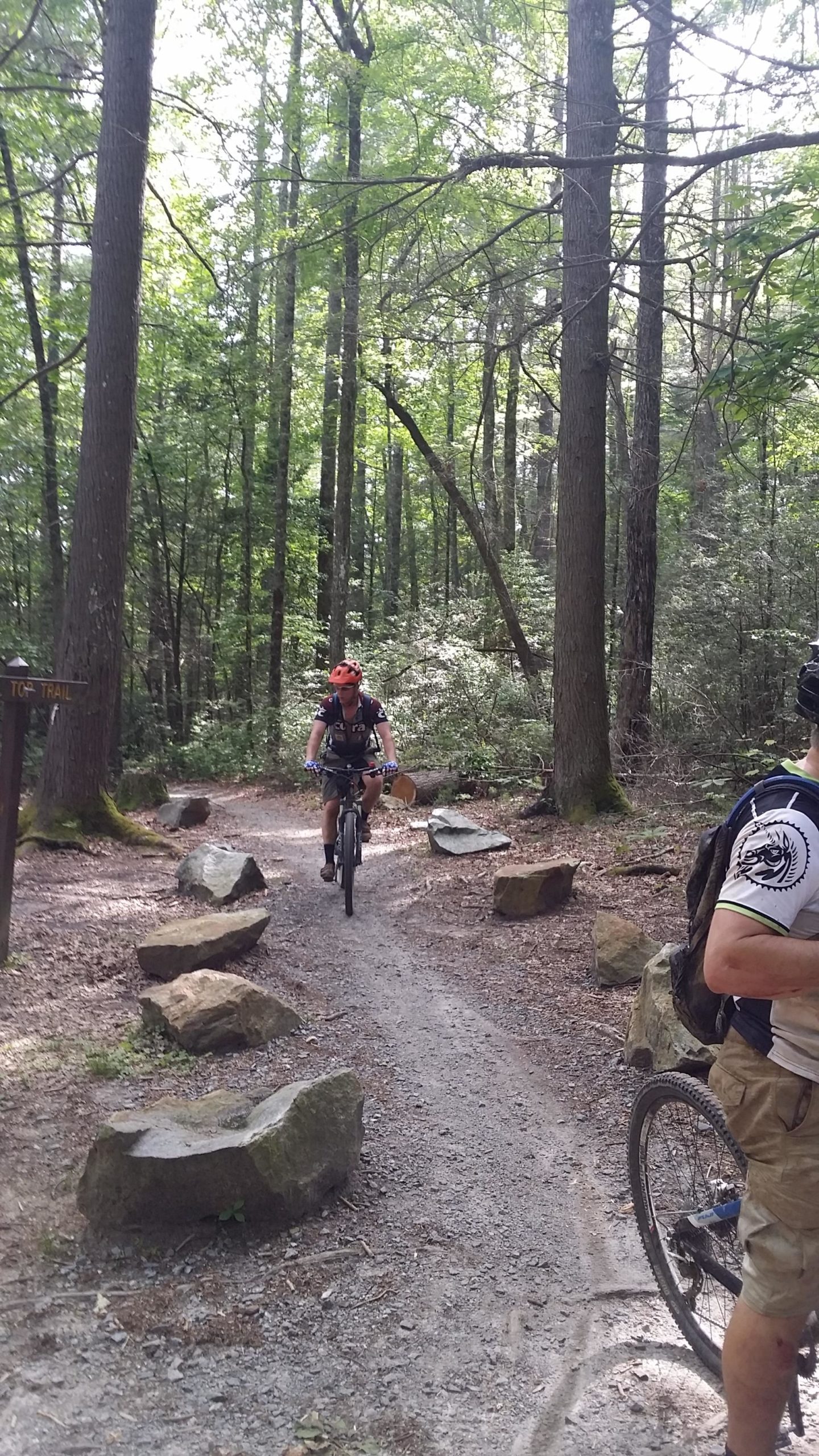 A cyclist wearing a helmet rides along a gravel path surrounded by trees in a wooded area. Large rocks line the trail, and another cyclist is partially visible in the foreground. A signpost indicating the trail can be seen in the background. The scene captures the essence of outdoor biking and nature. DuPont State Forest mountain bike trail.