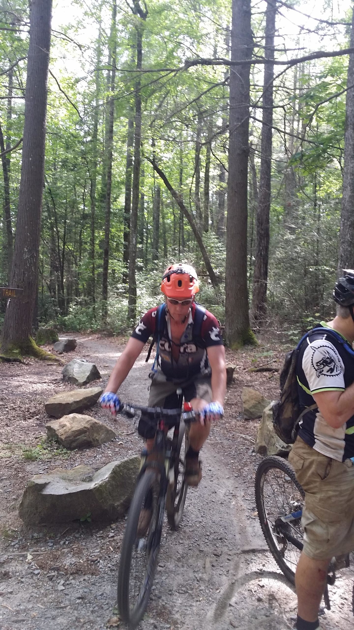 A mountain biker riding on a forest trail, surrounded by tall trees and rocky terrain. The rider wears an orange helmet and sunglasses, and is dressed in a cycling jersey and shorts. Another cyclist stands nearby, partially visible, and the scene is filled with green foliage, suggesting a sunny day outdoors. DuPont State Forest mountain bike trail.