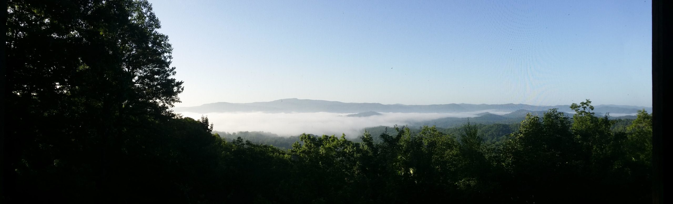 A panoramic view of rolling hills and mountains shrouded in mist, framed by lush green trees in the foreground, under a clear blue sky. DuPont State Forest mountain bike trail.