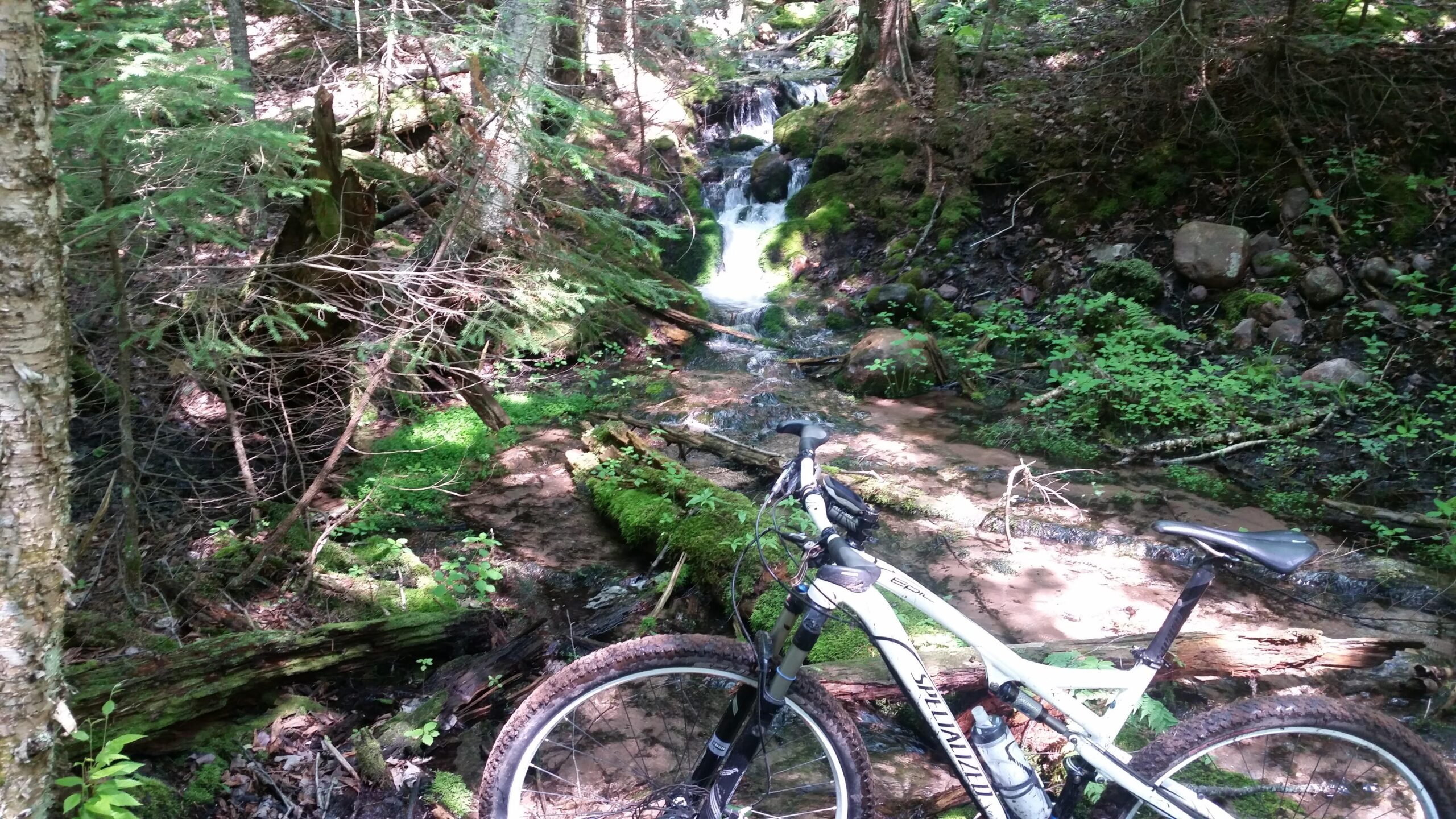 Specialized Epic Comp 29er: A mountain bike leaning against a moss-covered tree trunk near a small, flowing waterfall in a lush, green forest. Sunlight filters through the trees, highlighting the vibrant foliage and water.