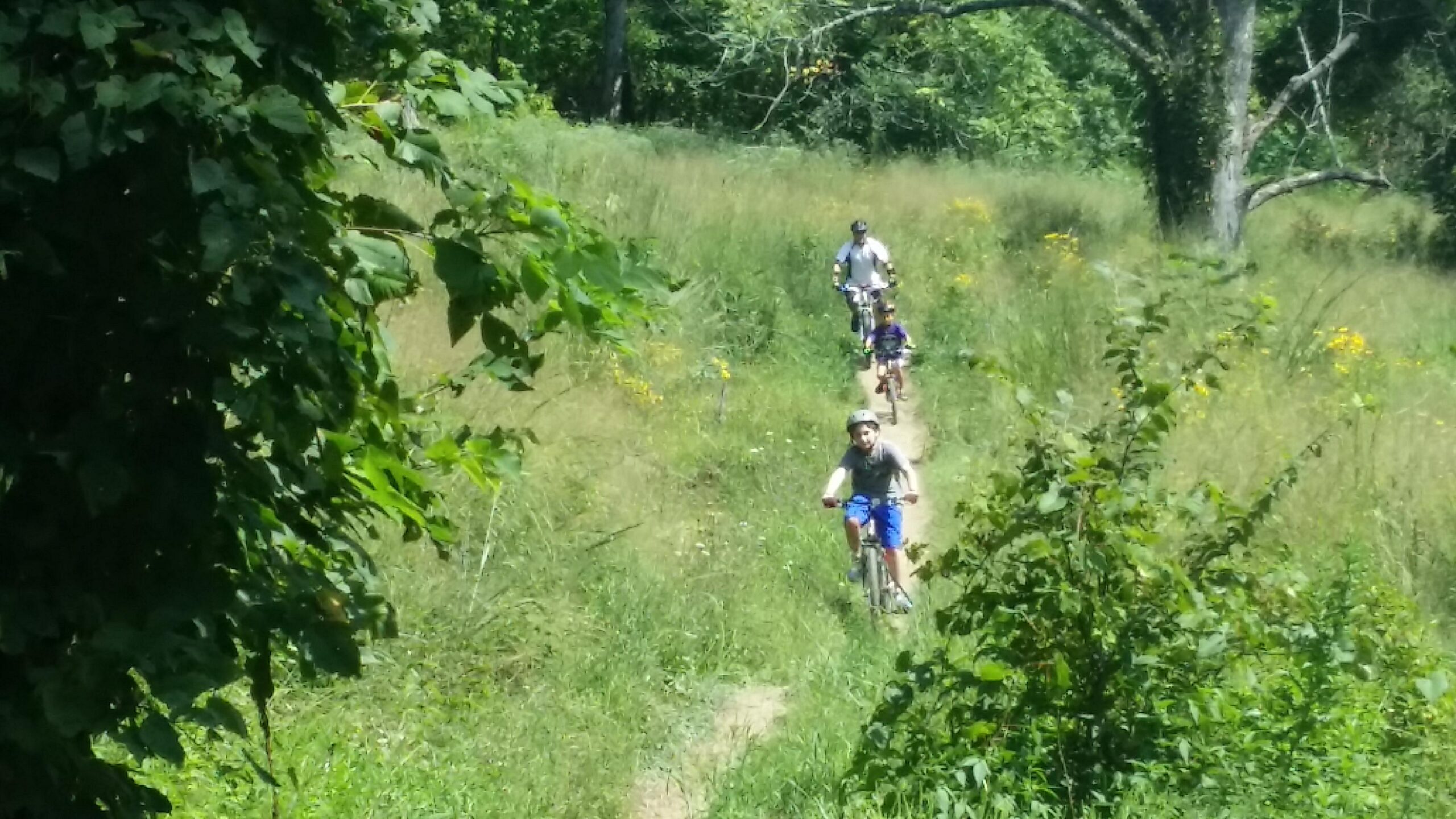 A group of cyclists, including children, riding on a narrow dirt path through a lush green landscape with tall grass and wildflowers. The scene captures a sunny day with trees in the background. Devou Park mountain bike trail.