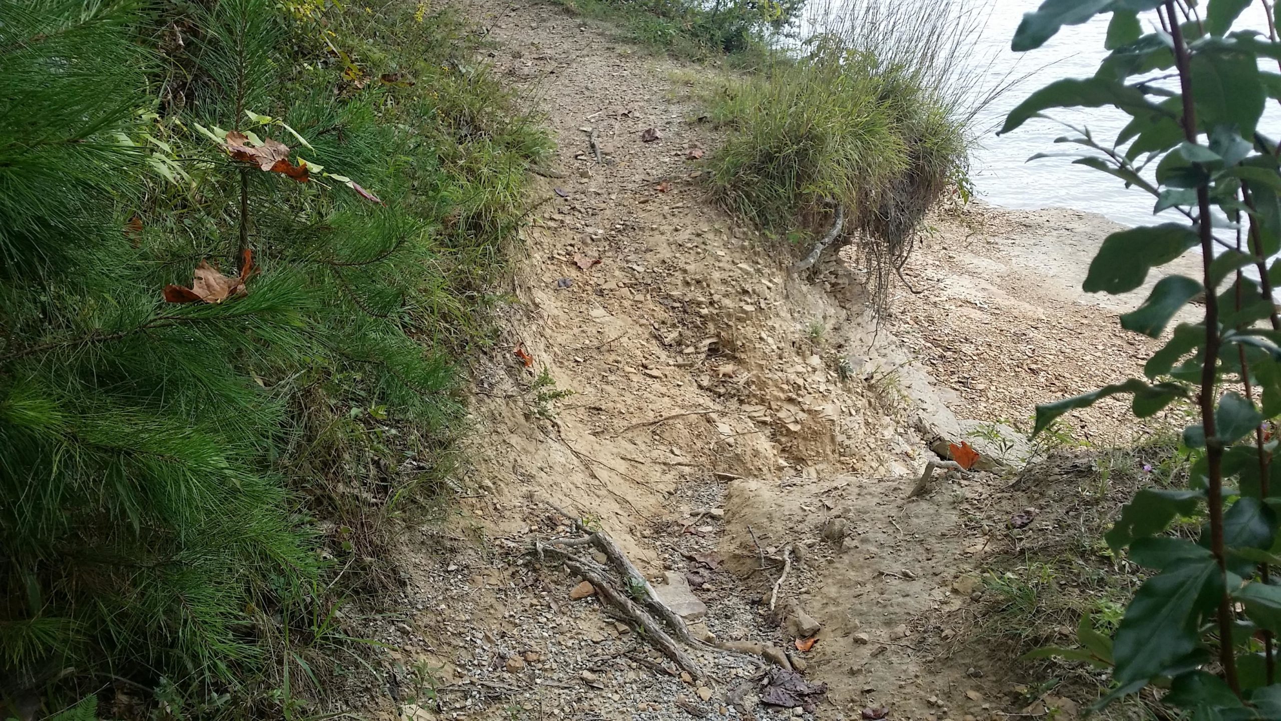 A narrow dirt path leading down to a body of water, bordered by green vegetation and patches of bare soil. The scene features a mix of small rocks, fallen leaves, and grasses along the edges of the trail, with a view of the water visible in the background. Sheltowee Trace - Laurel Lake Trail mountain bike trail.