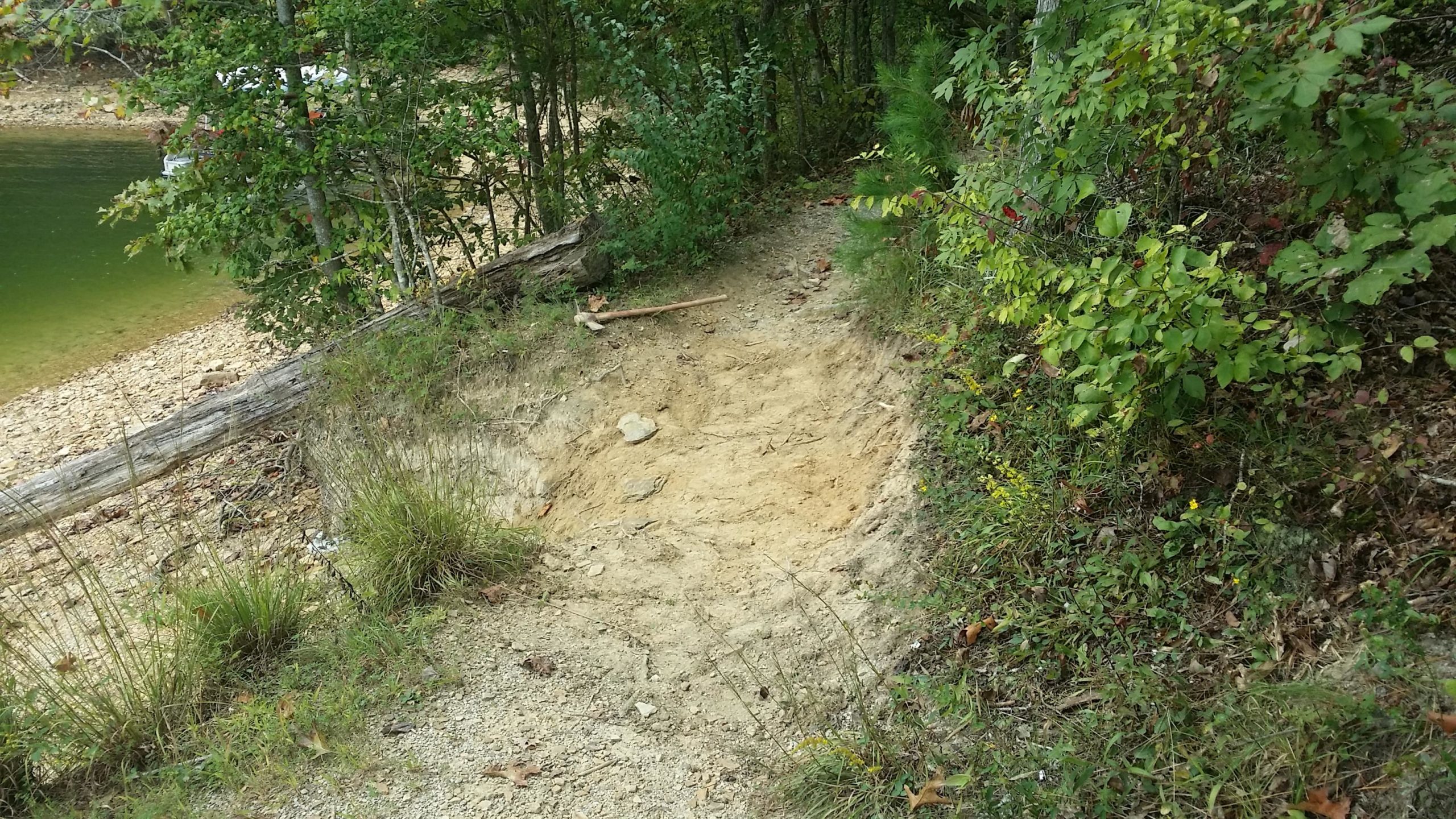 A narrow, sandy path leading to a calm body of water, surrounded by lush greenery and small shrubs. A fallen log lies parallel to the path, with a few scattered stones and patches of grass on either side. Sheltowee Trace - Laurel Lake Trail mountain bike trail.