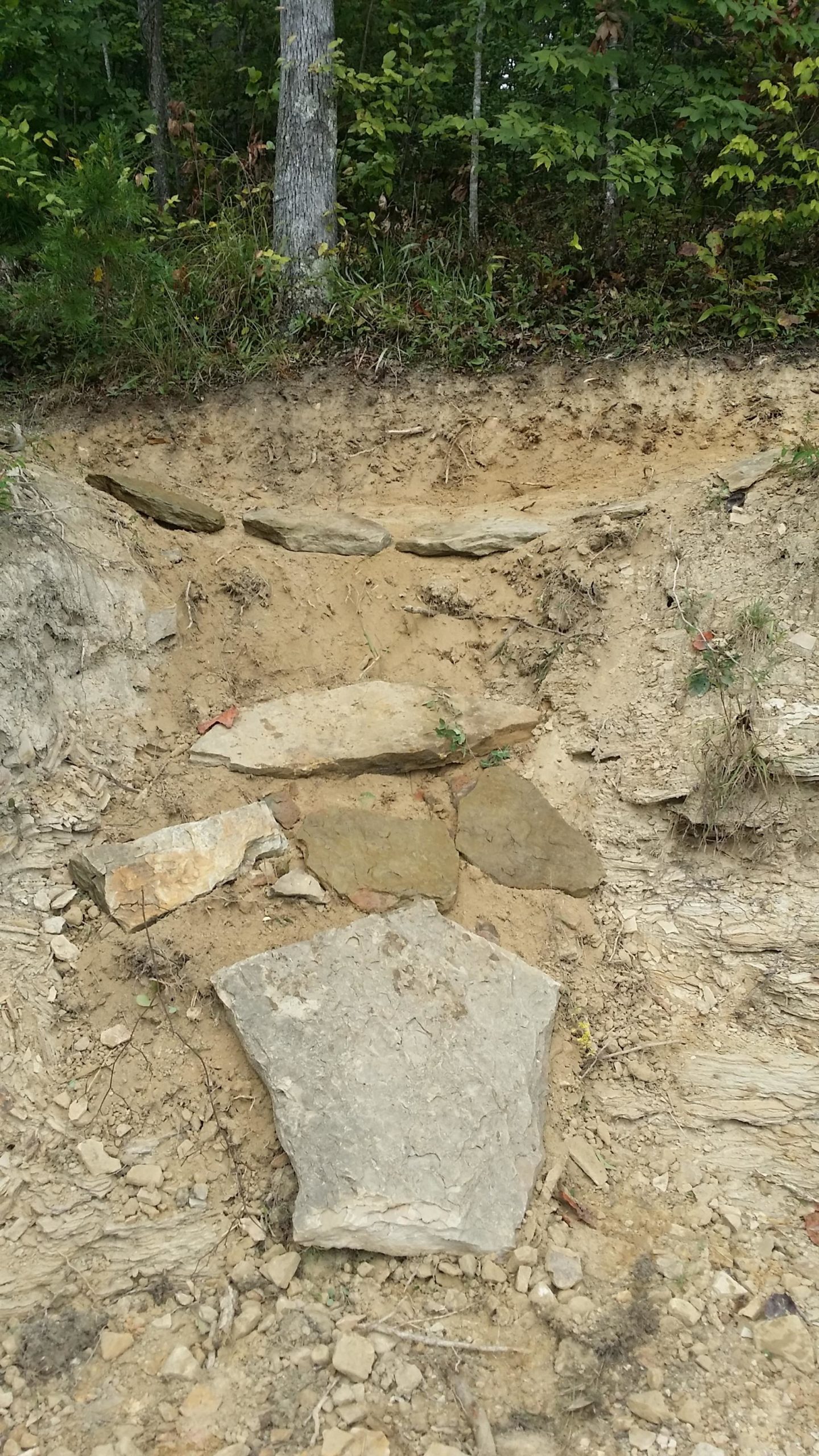 A dirt pathway leading into a wooded area, featuring several large flat stones laid out unevenly on the ground. Surrounding the path are patches of dirt, small rocks, and greenery from the forest. Sheltowee Trace - Laurel Lake Trail mountain bike trail.