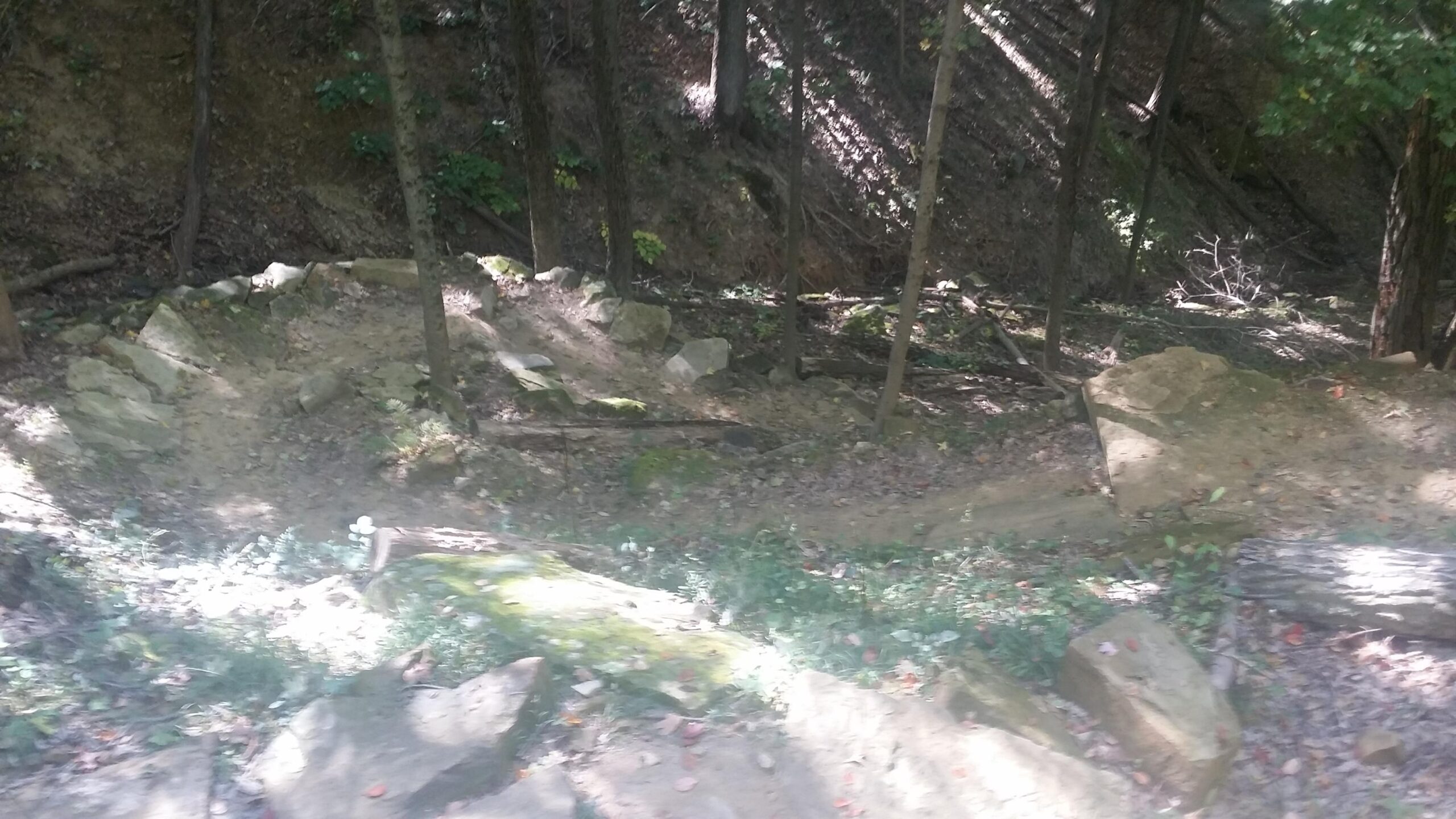 A wooded landscape featuring a rocky terrain with sunlight filtering through the trees, highlighting patches of moss and fallen leaves among the underbrush. Brown County Park mountain bike trail.