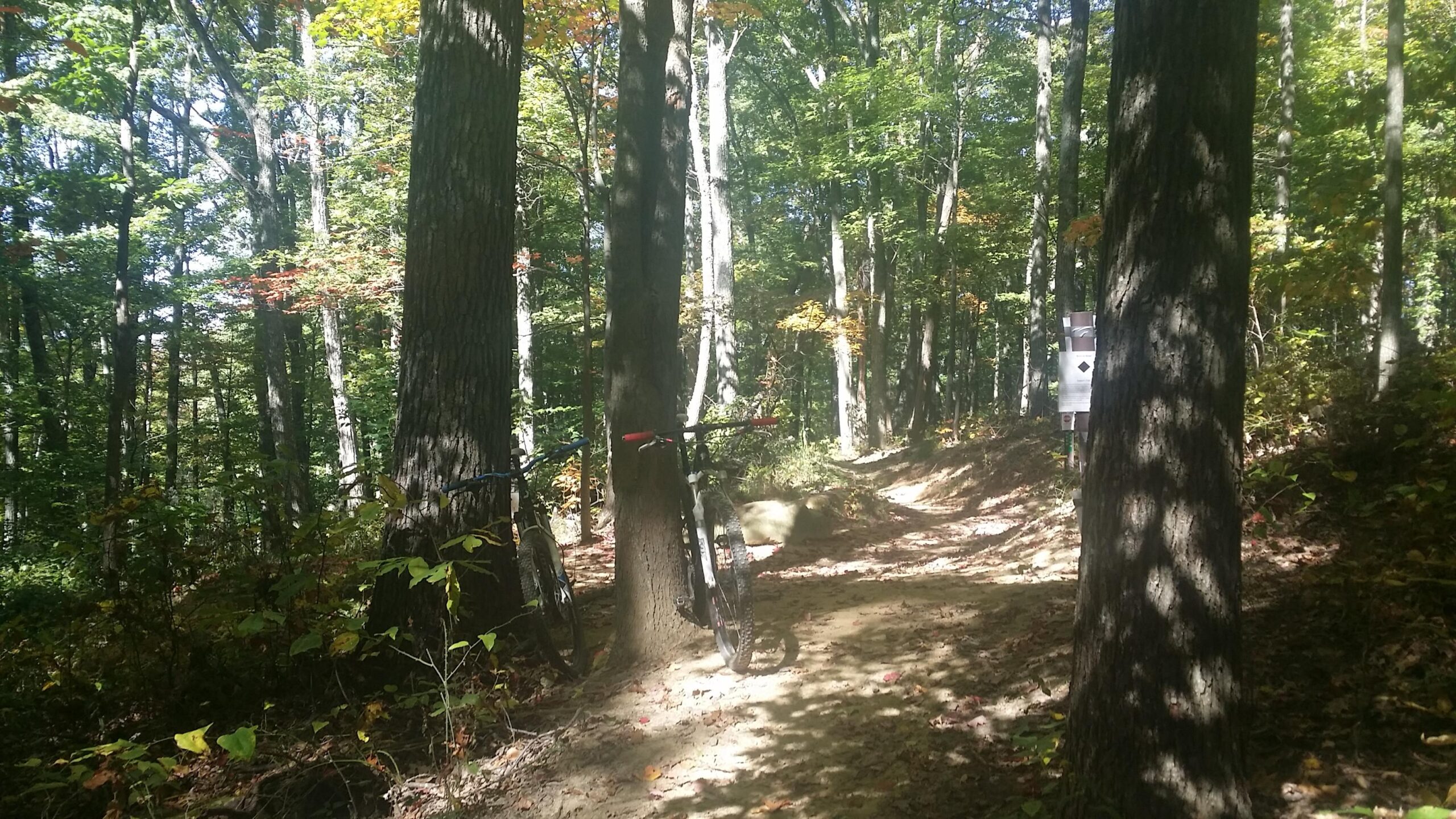 A serene forest trail with tall trees and vibrant autumn foliage. Two mountain bikes are leaning against a tree on the left side of the path, while a sign is visible on a tree further along the trail. Sunlight filters through the leaves, creating a peaceful and inviting atmosphere. Brown County Park mountain bike trail.
