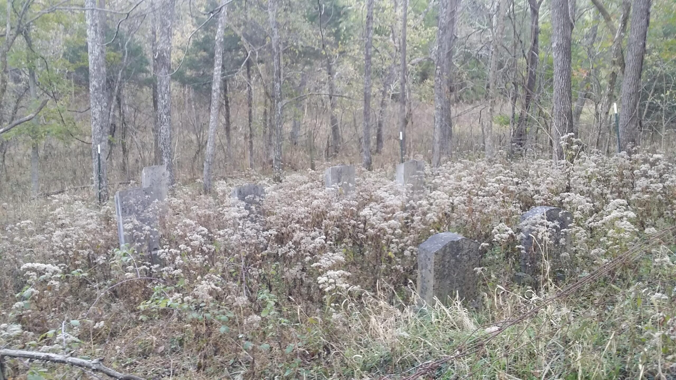 An overgrown cemetery surrounded by trees, featuring several weathered gravestones partially obscured by tall grasses and wildflowers. Skullbuster mountain bike trail.